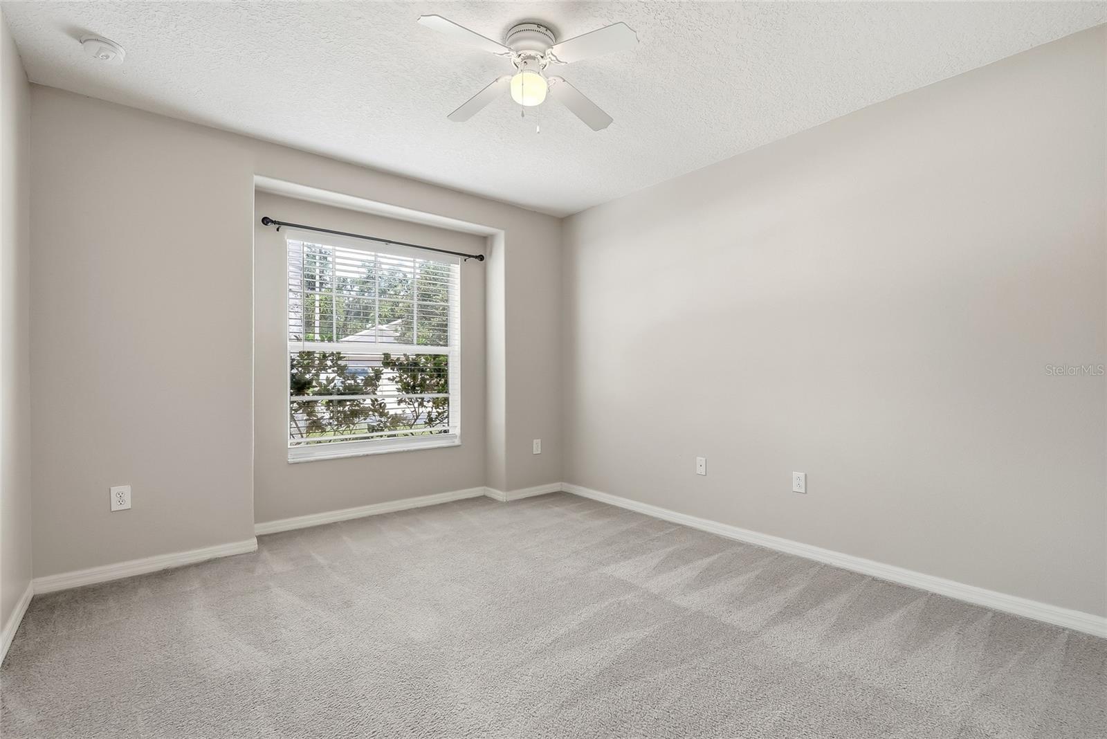 25928 Crippen Dr Property Photo 22