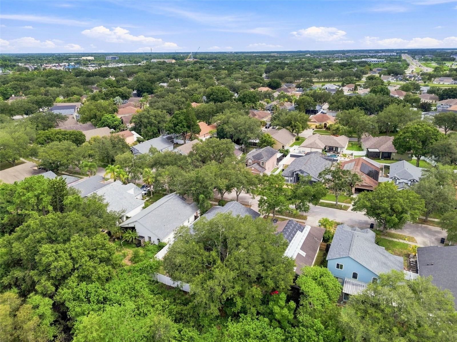 3838 Bellewater Blvd Property Photo 48