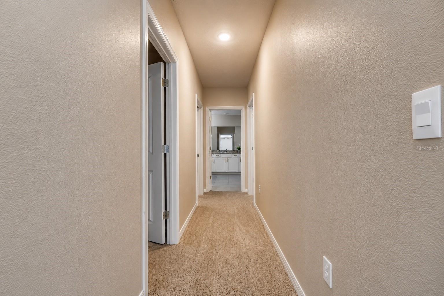 12455 Shining Willow St Property Photo 60