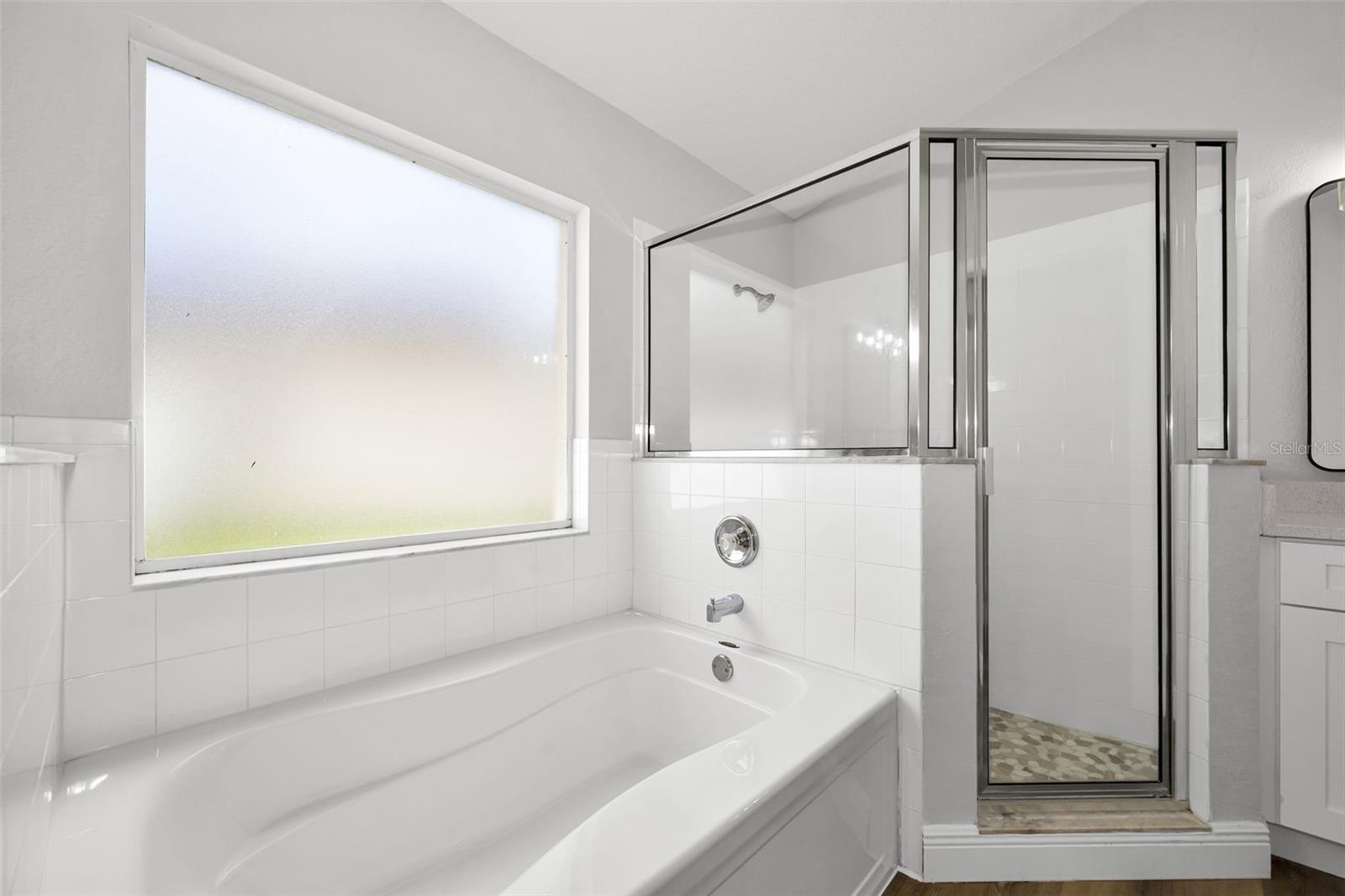 25427 Seven Rivers Cir Property Photo 50