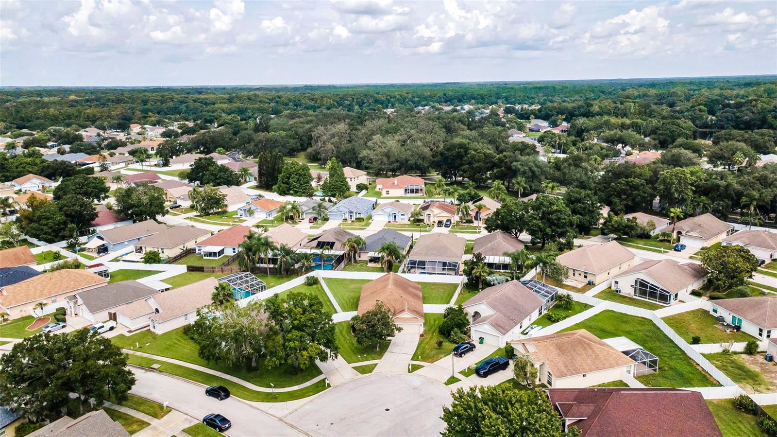 25427 Seven Rivers Cir Property Photo 78