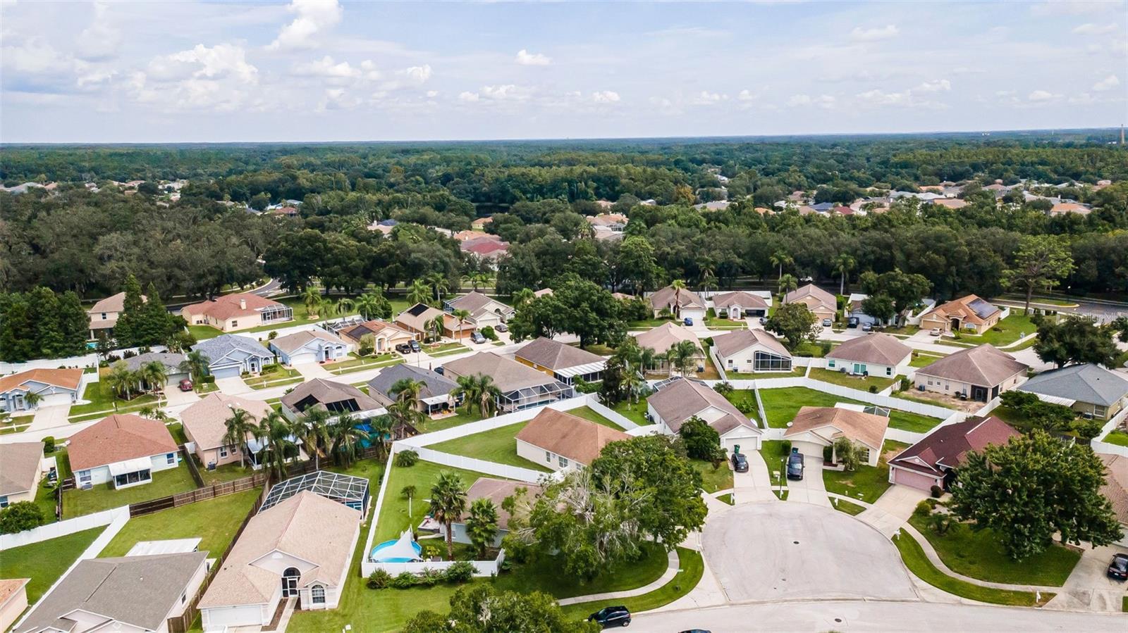 25427 Seven Rivers Cir Property Photo 79