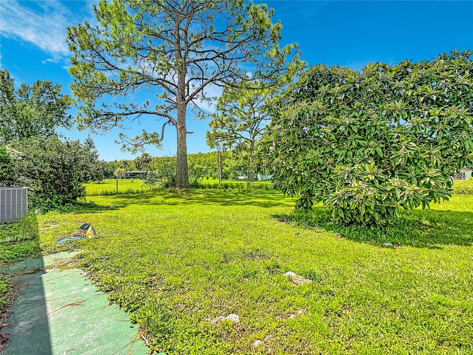 2614 Mc Daniel Dr Property Photo 22