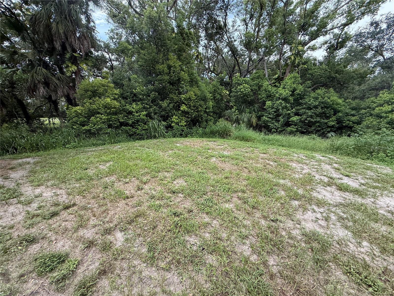 1752 Colding Dr Property Photo 23