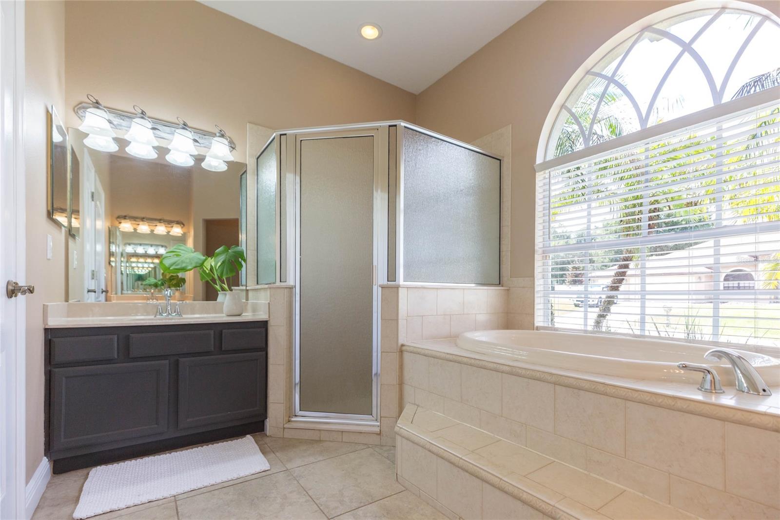11544 Pine Hollow Way Property Photo 28
