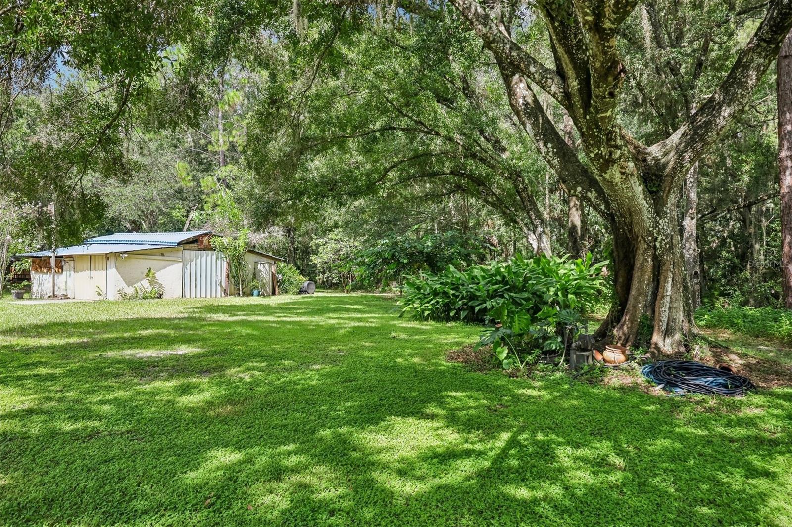 33245 Mandrake Rd Property Photo 31
