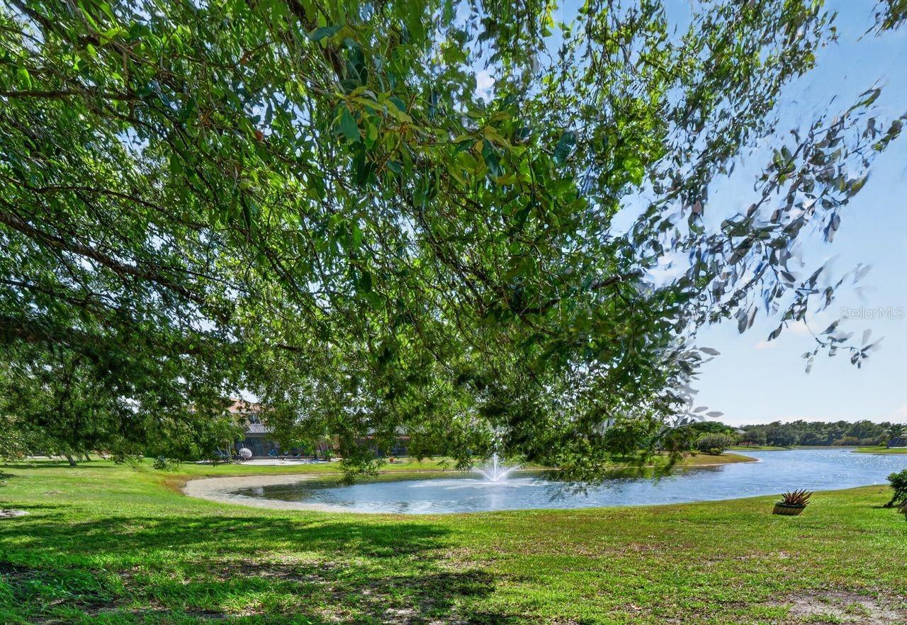 8083 Silver Birch Way Property Photo 18