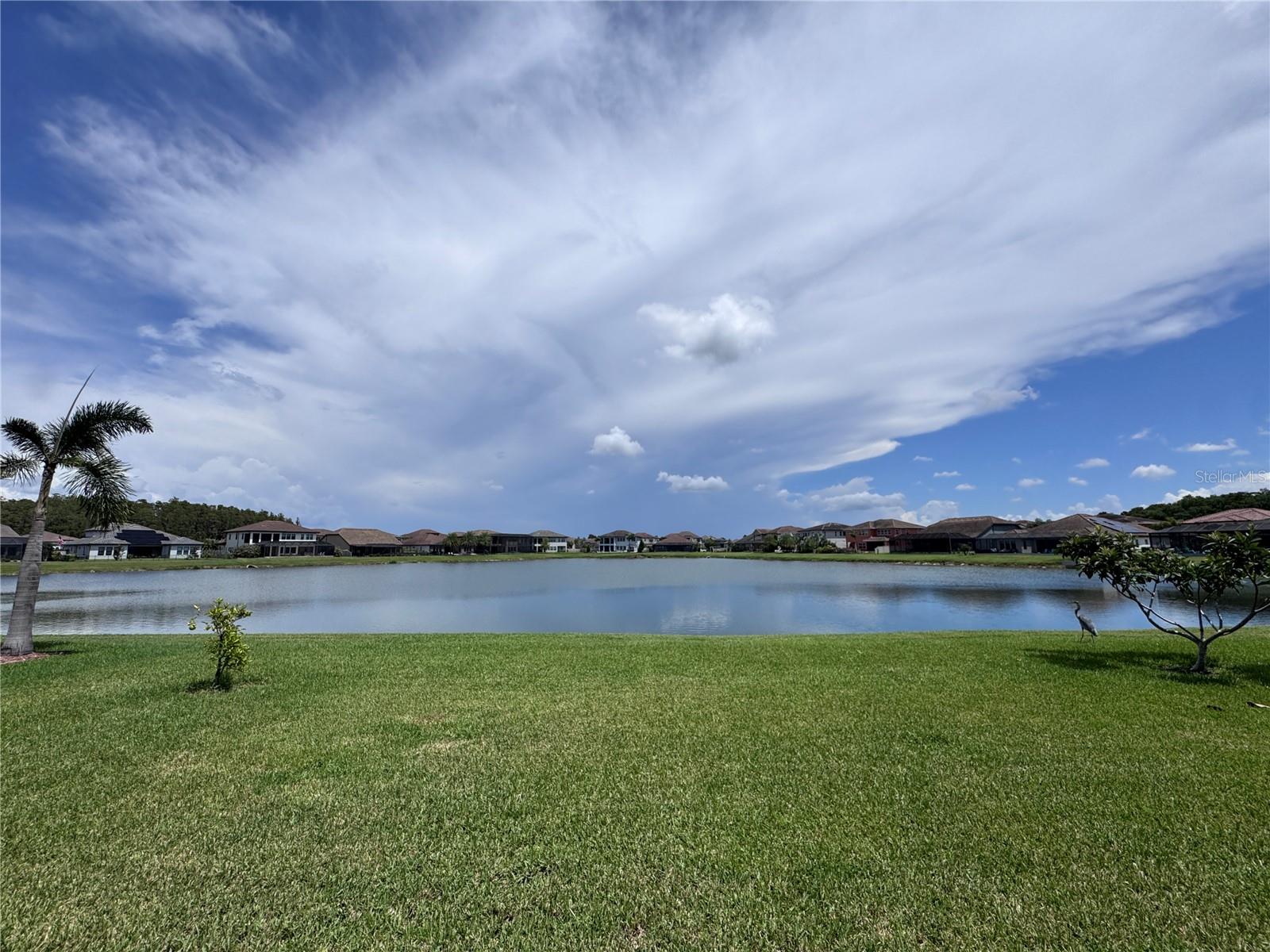 28661 Picana Ln Property Photo 49