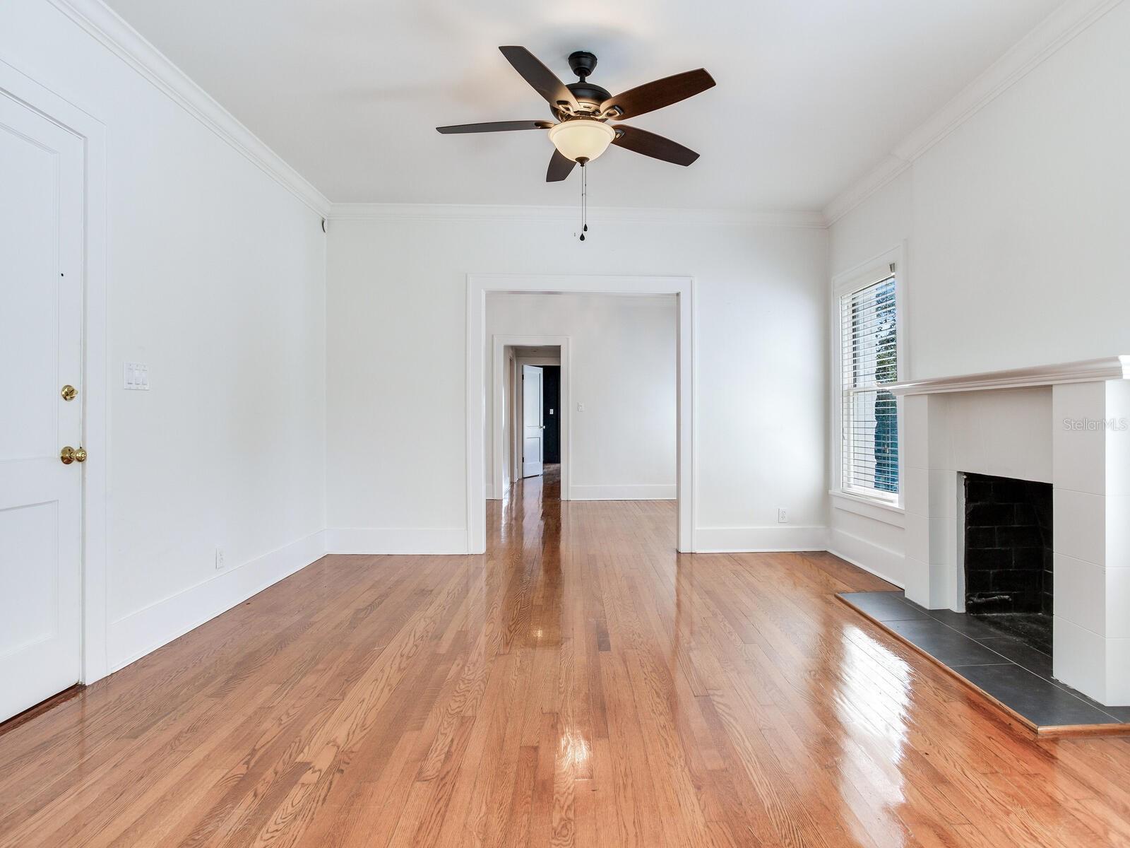 2114 W Dekle Ave #4 Property Photo 14