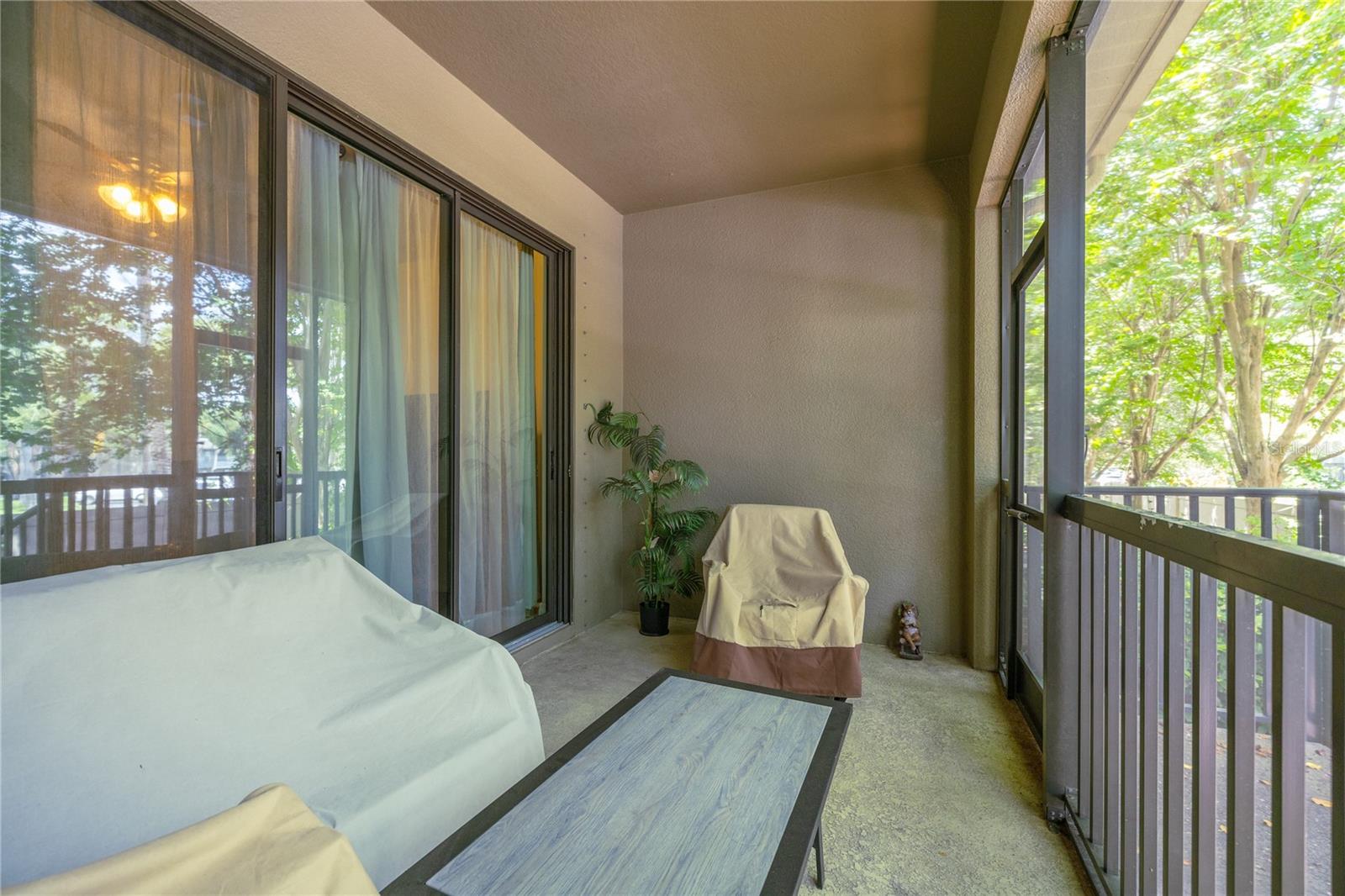 13204 San Blas Loop Property Photo 25