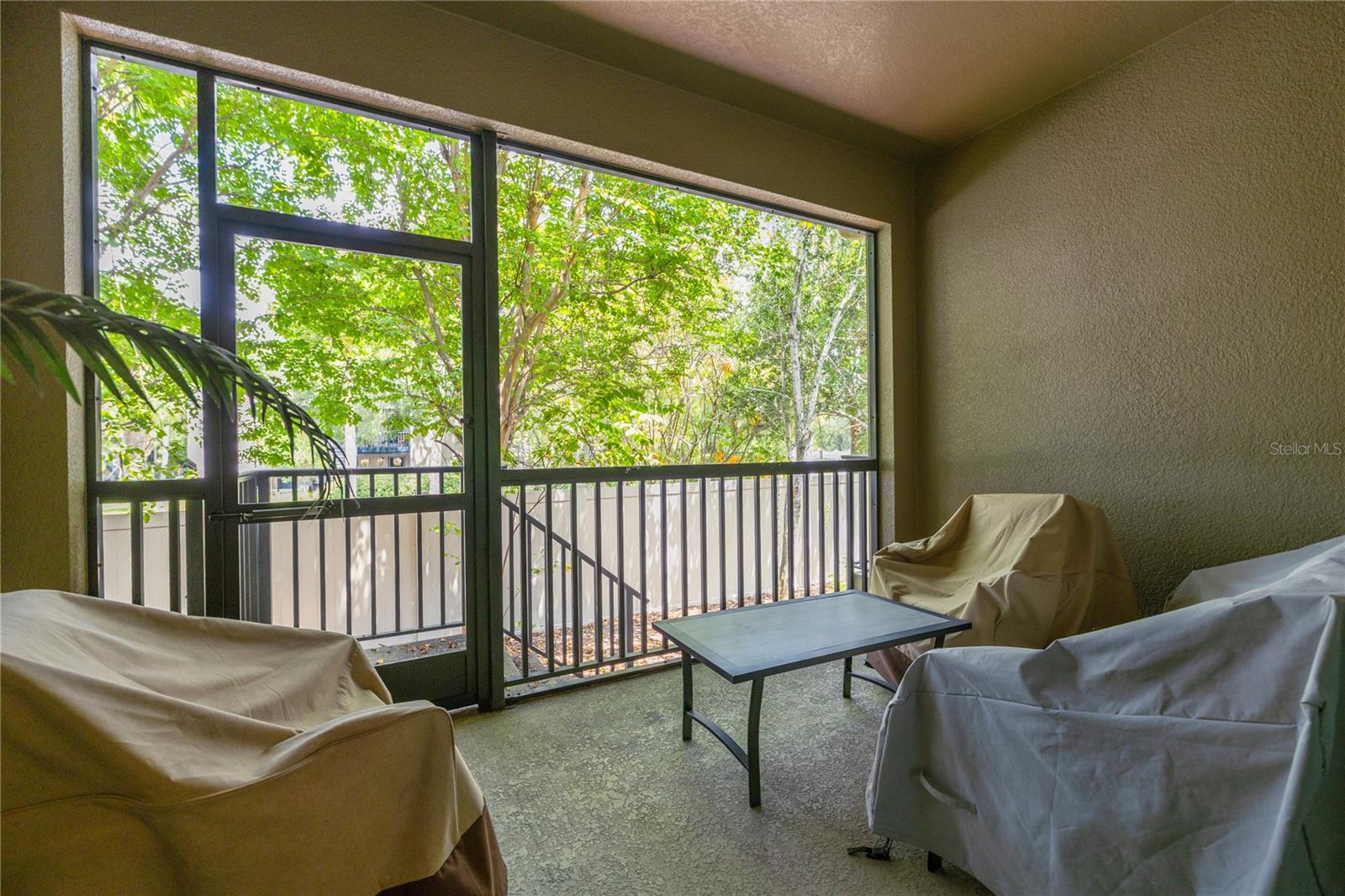 13204 San Blas Loop Property Photo 26