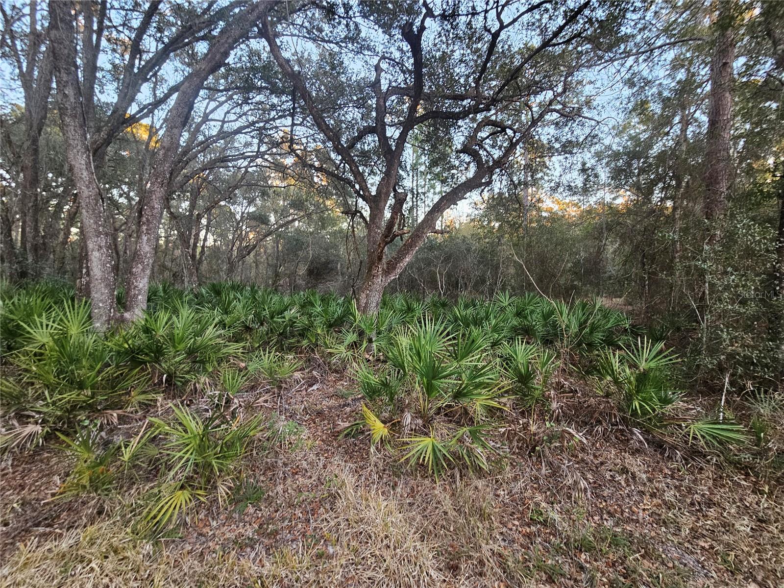 Rosehill Dr Property Photo 2