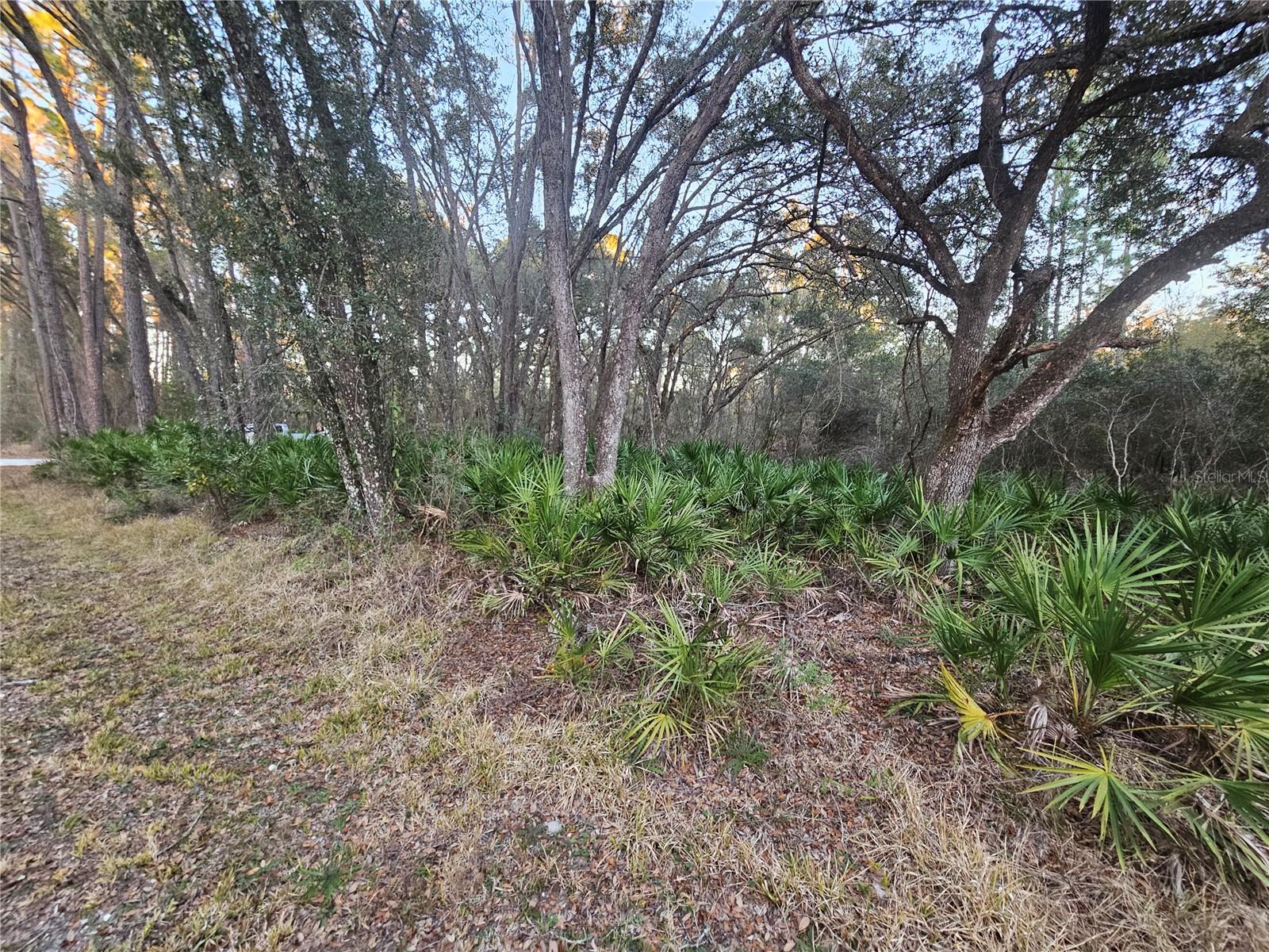 Rosehill Dr Property Photo 3