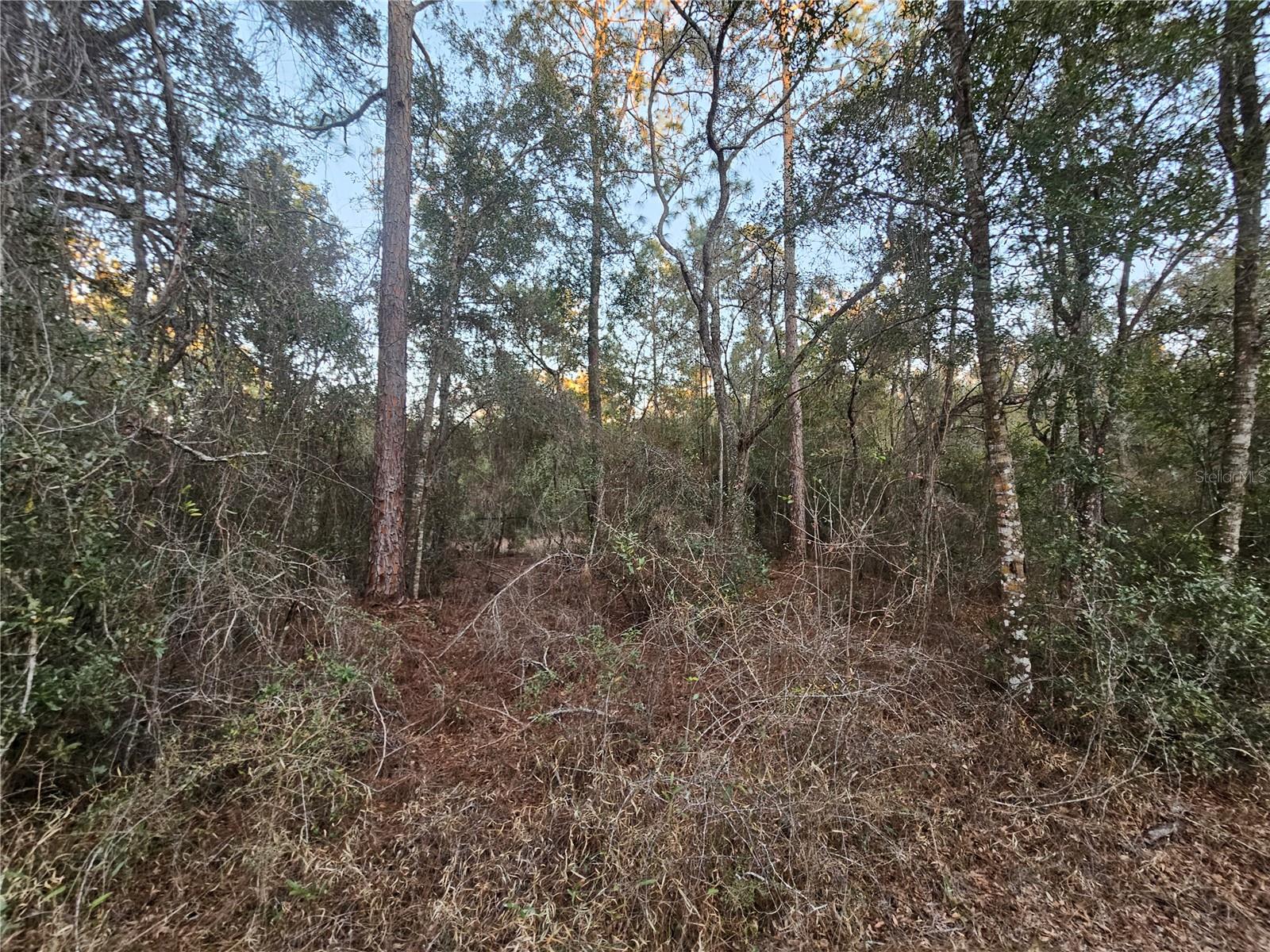 Rosehill Dr Property Photo 4