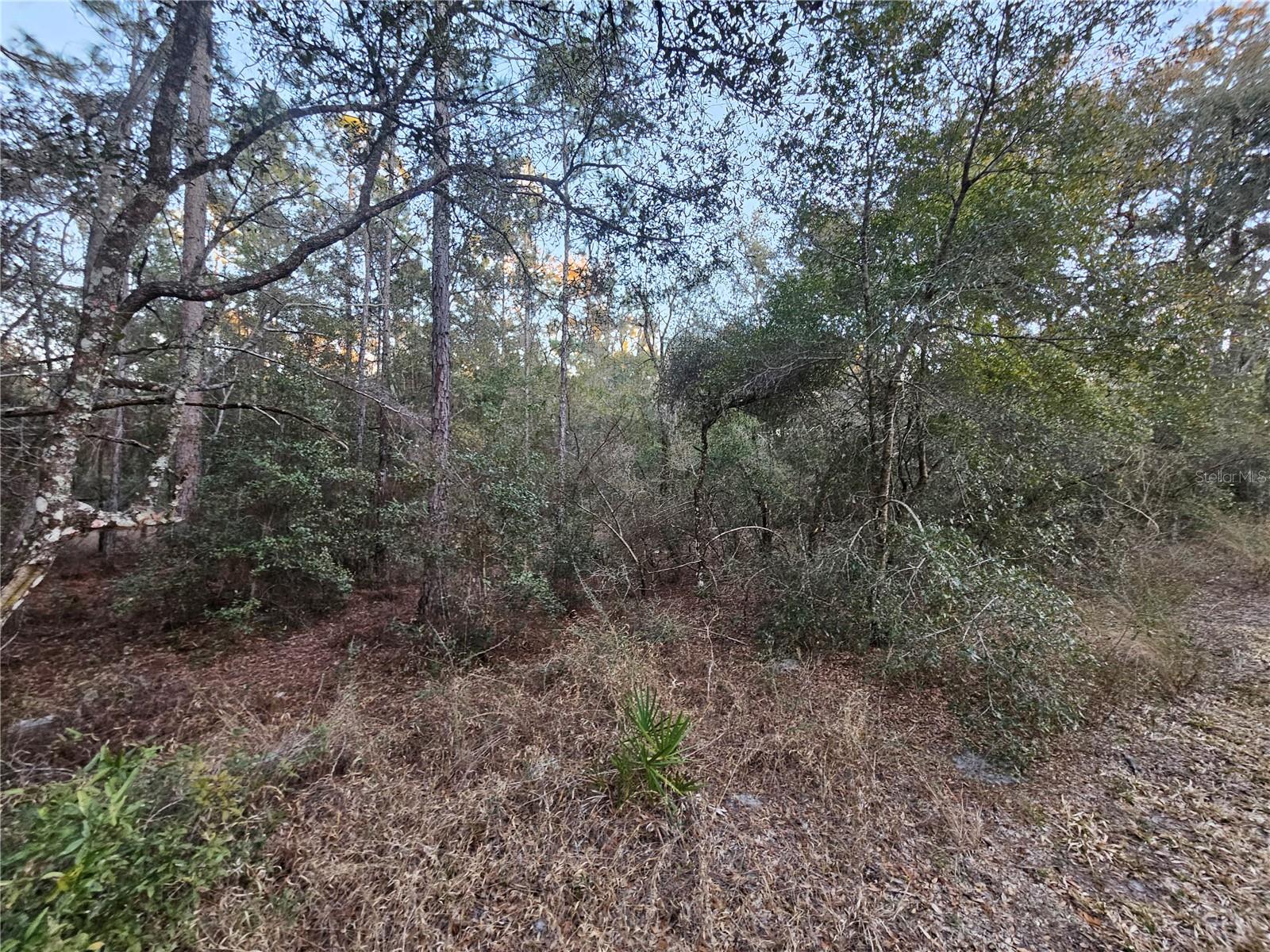 Rosehill Dr Property Photo 5