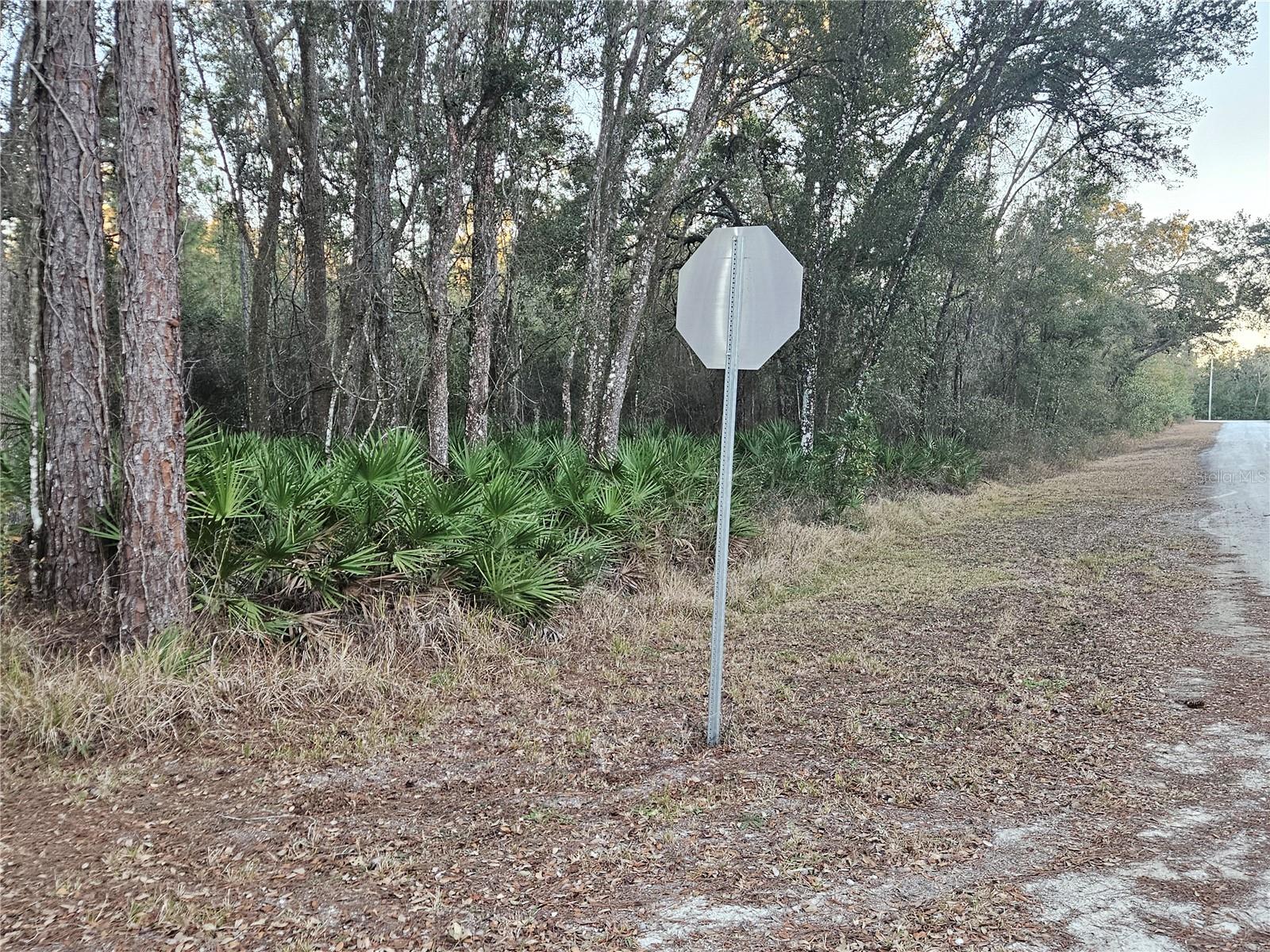 Rosehill Dr Property Photo 6