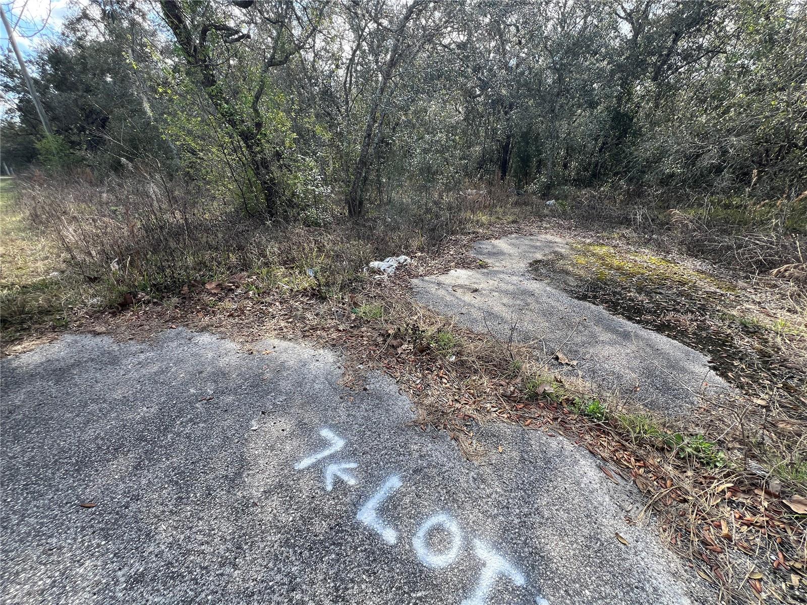 LOT 7 HAYS RD