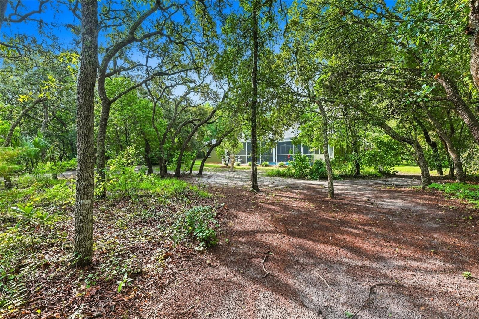 16547 Crossandra Ln Property Photo 47