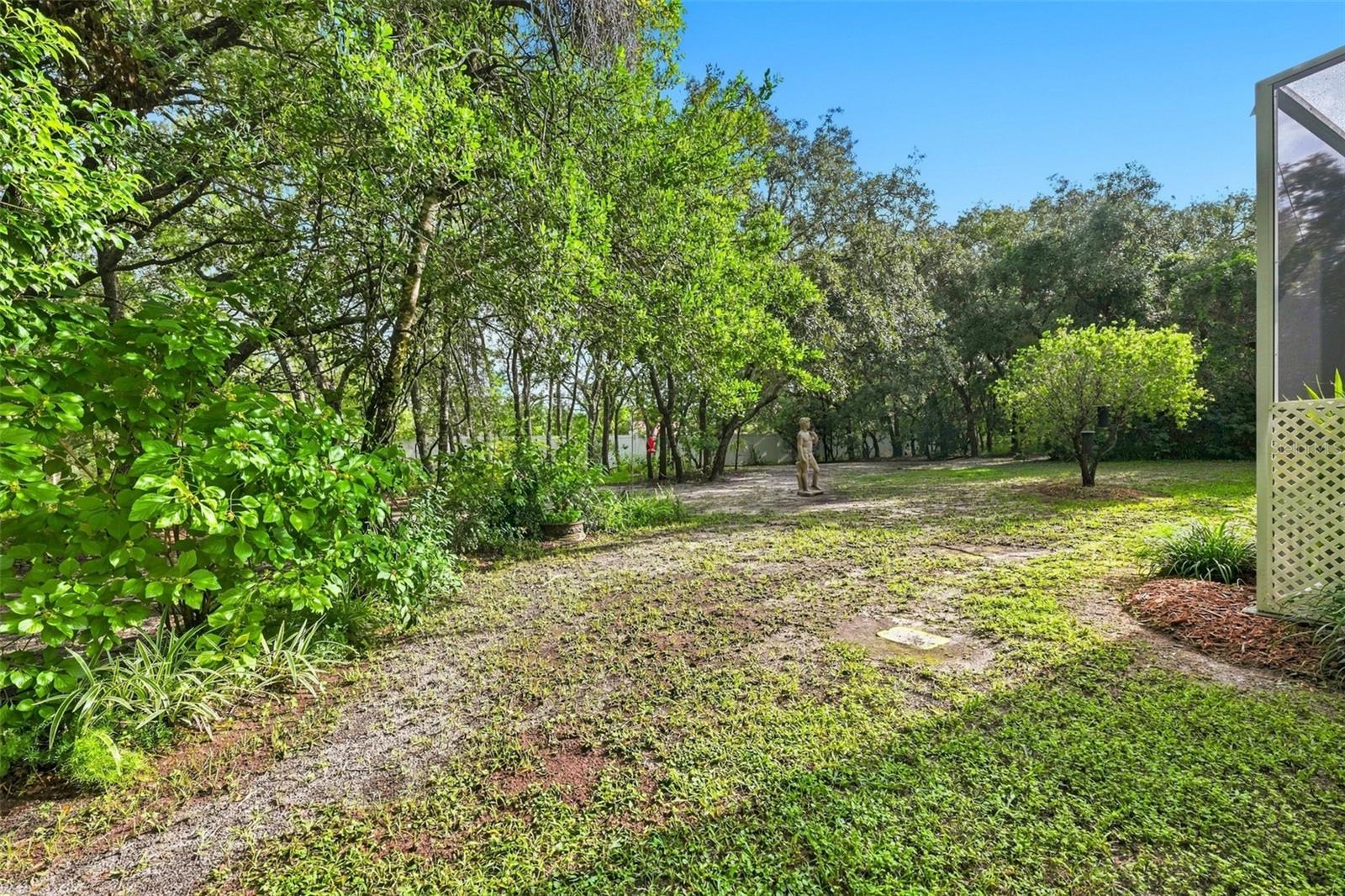 16547 Crossandra Ln Property Photo 50