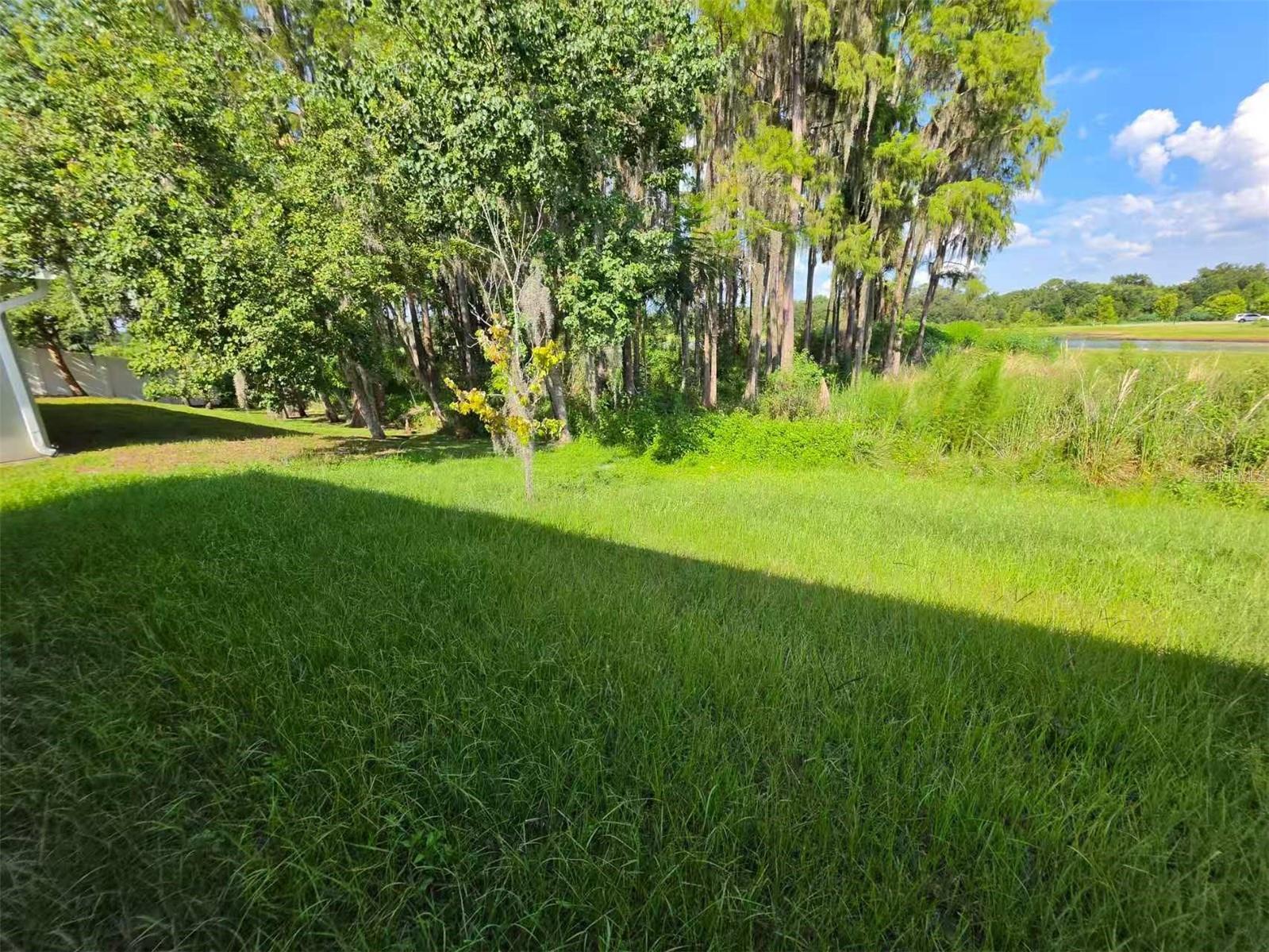 1631 Town Park Ct Property Photo 25