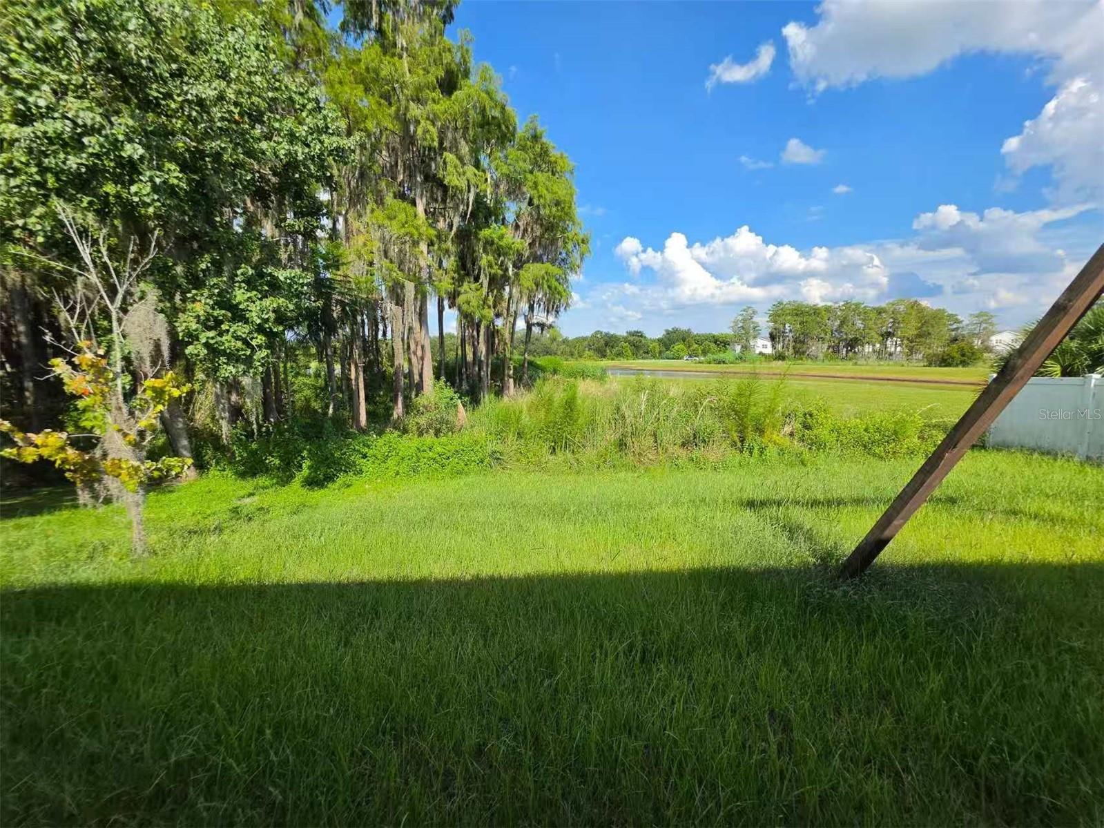 1631 Town Park Ct Property Photo 26