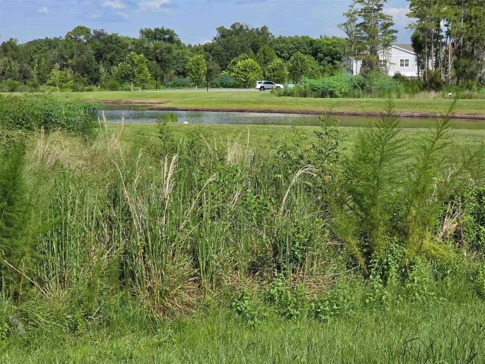 1631 Town Park Ct Property Photo 27
