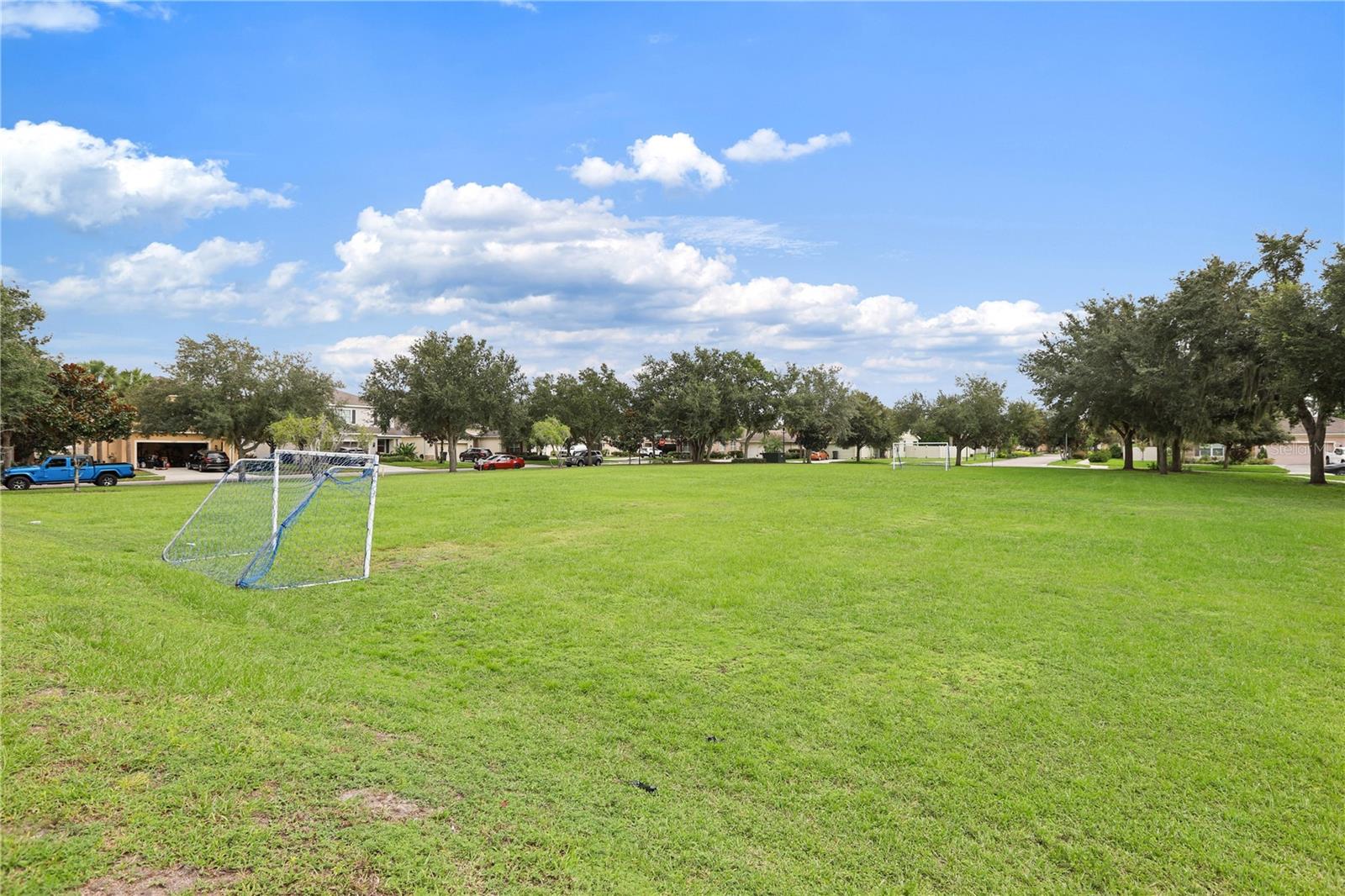17527 Bright Wheat Dr Property Photo 46