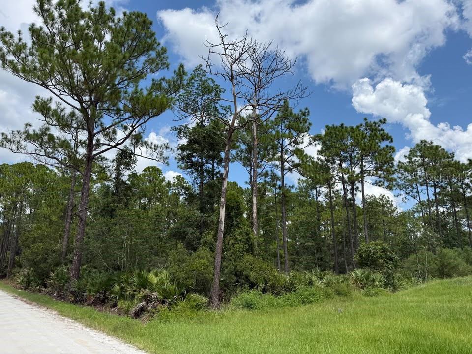 Unassigned East Pkwy Property Photo 1