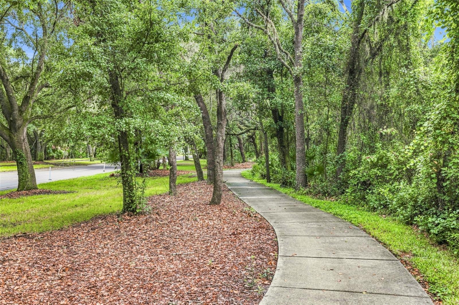 6104 Parkset Dr Property Photo 56