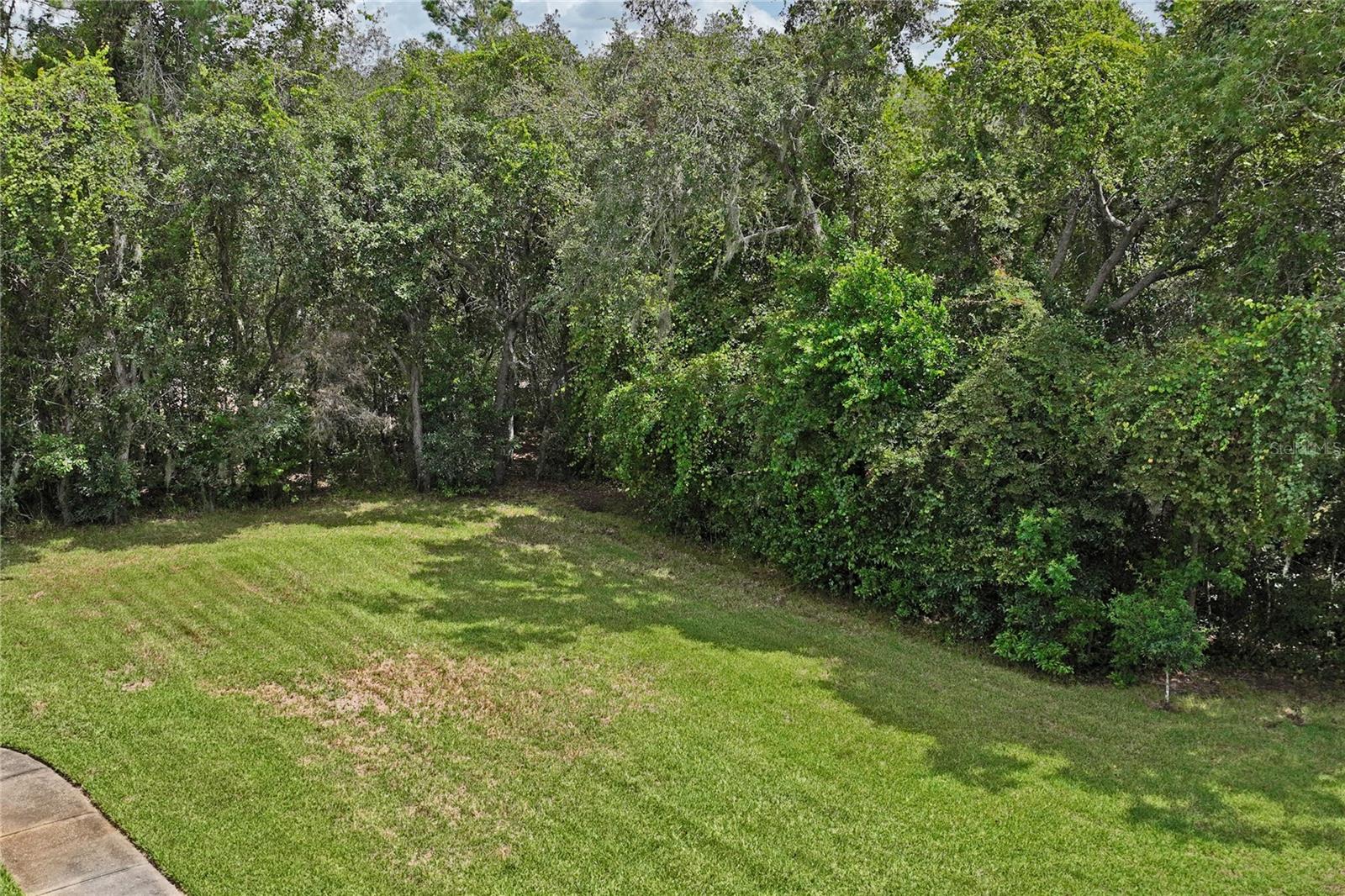 10447 Granning Ln Property Photo 7