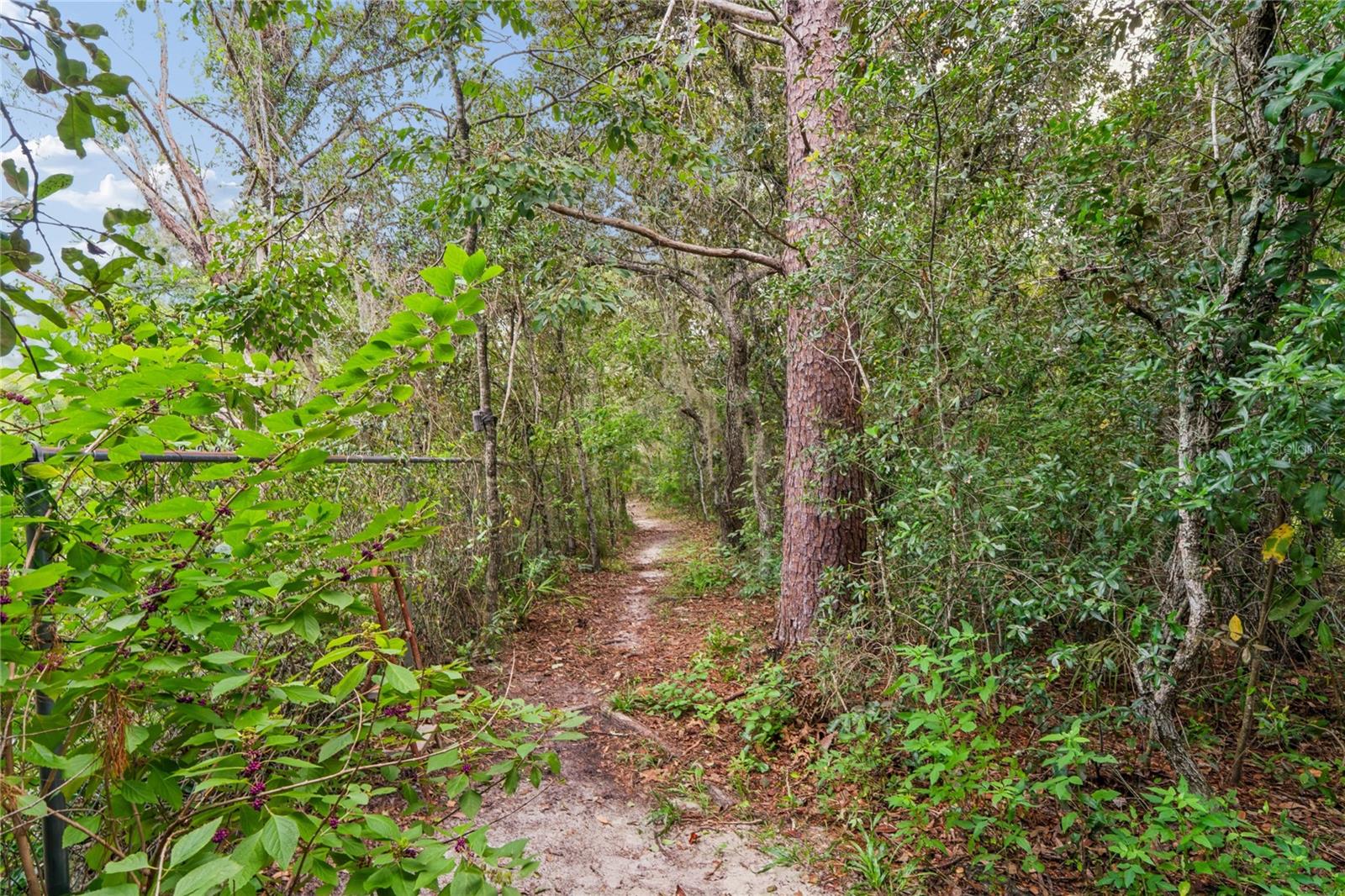 10447 Granning Ln Property Photo 11
