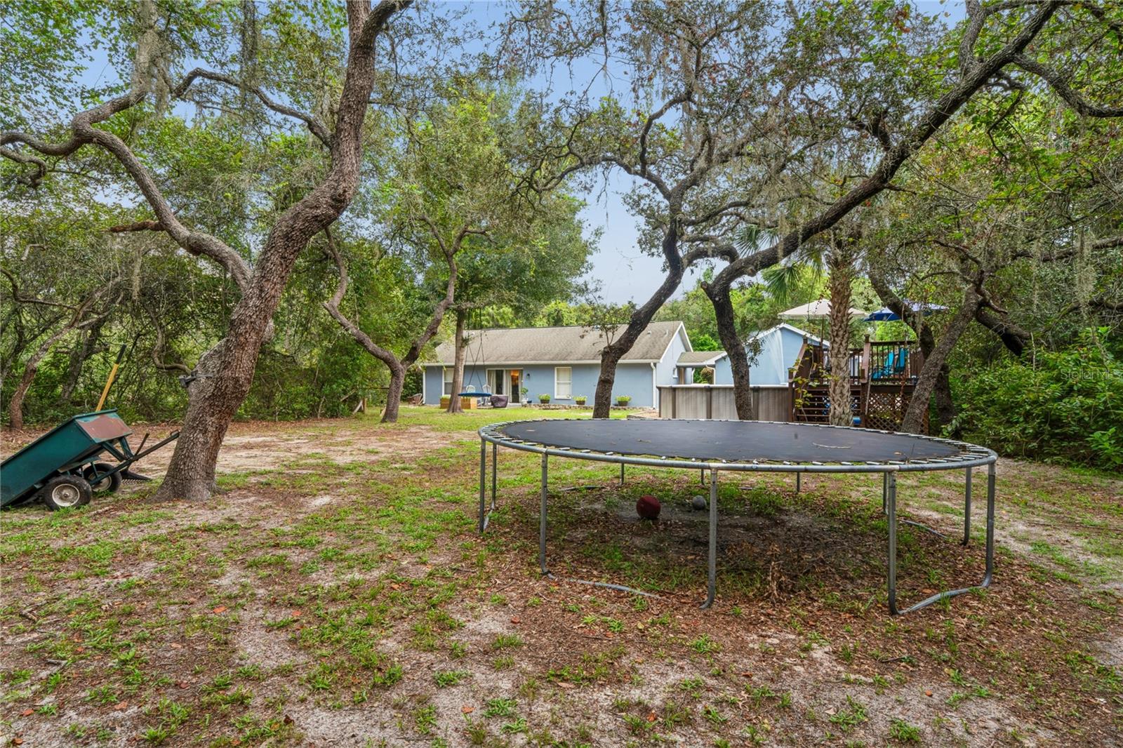 10447 Granning Ln Property Photo 55