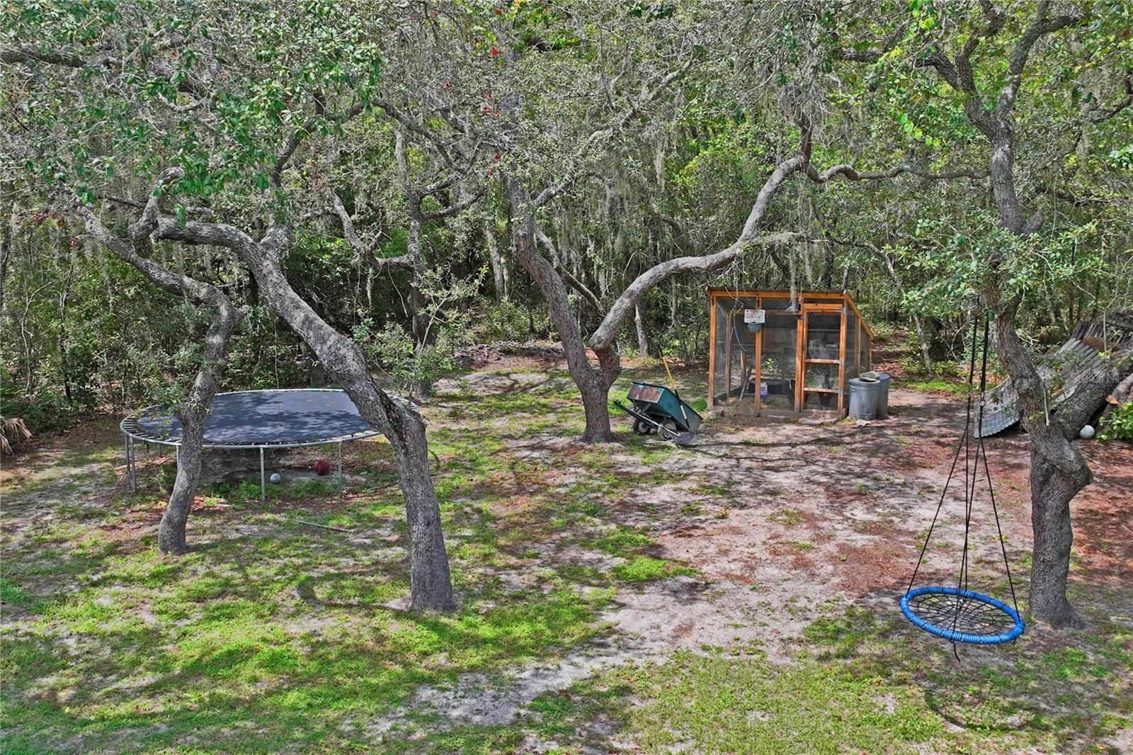 10447 Granning Ln Property Photo 56