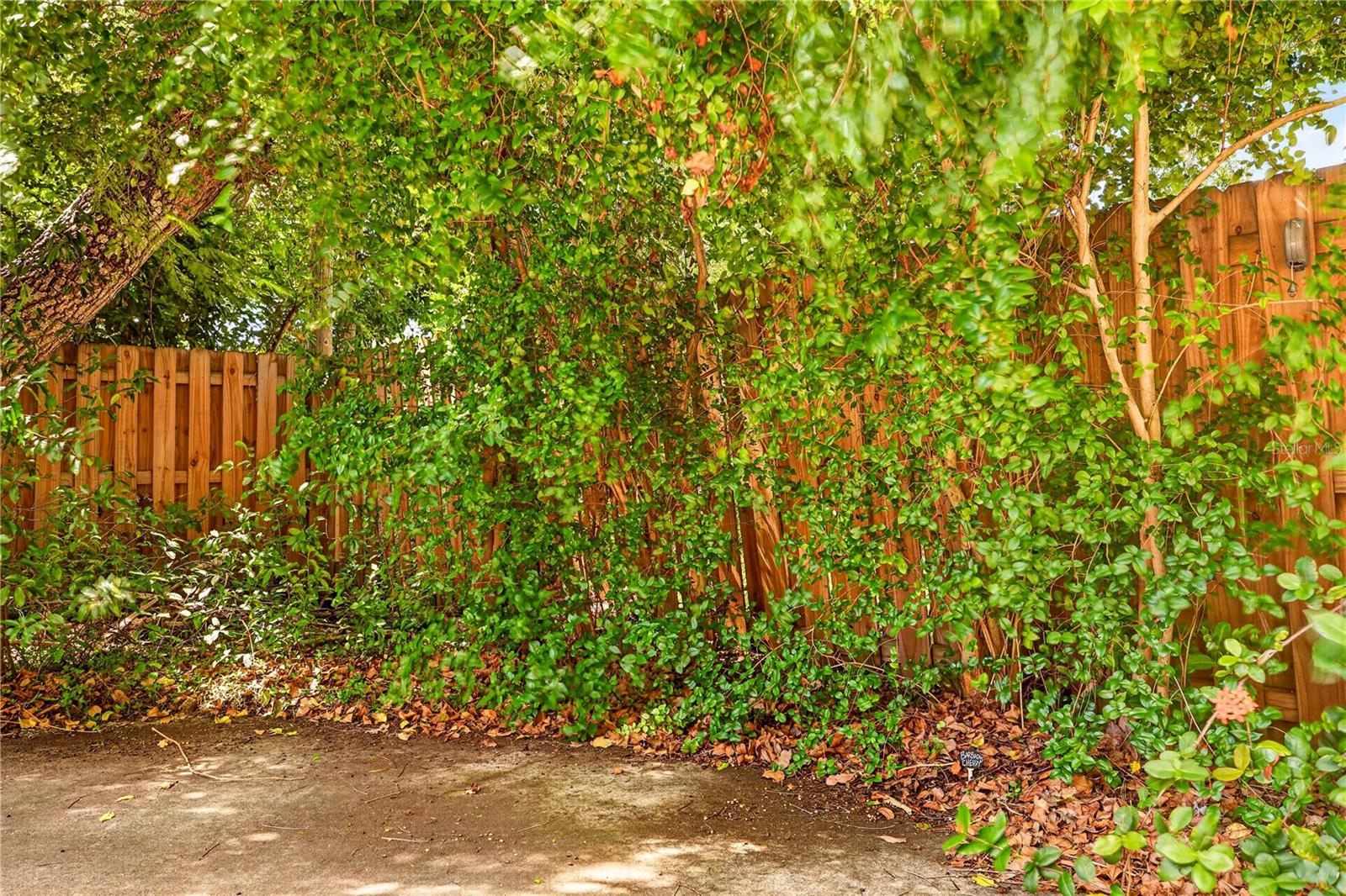 5613 12th Ave S Property Photo 24