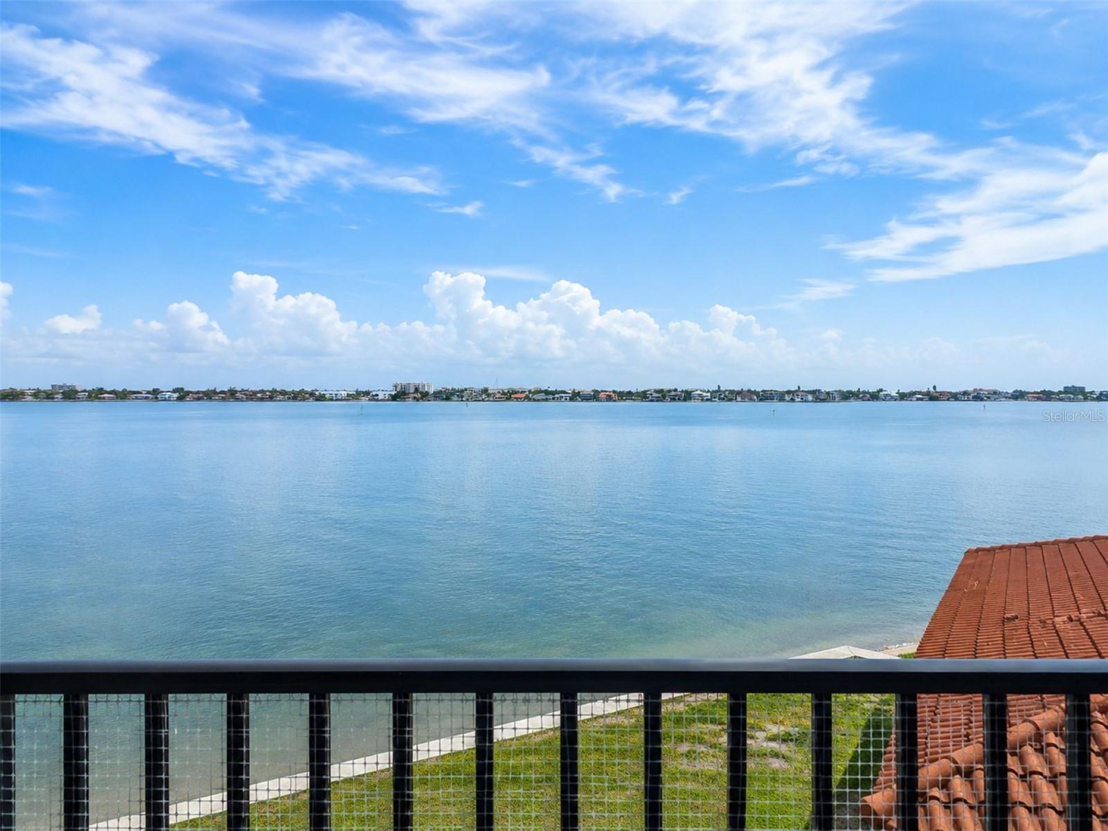 6287 Bahia Del Mar Cir #401 Property Photo 8