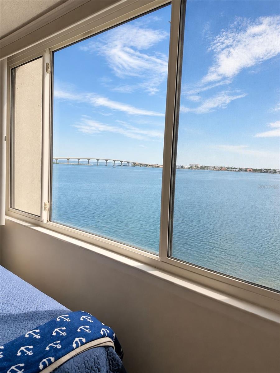 6287 Bahia Del Mar Cir #401 Property Photo 19