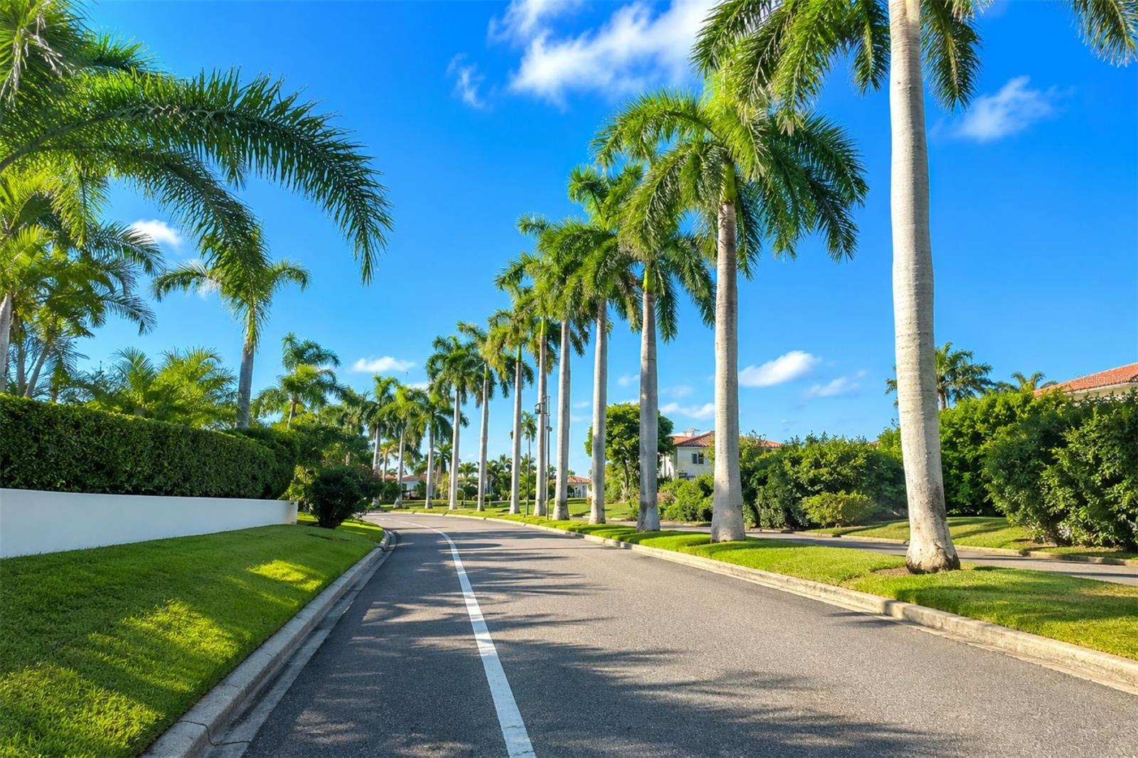 6287 Bahia Del Mar Cir #401 Property Photo 41