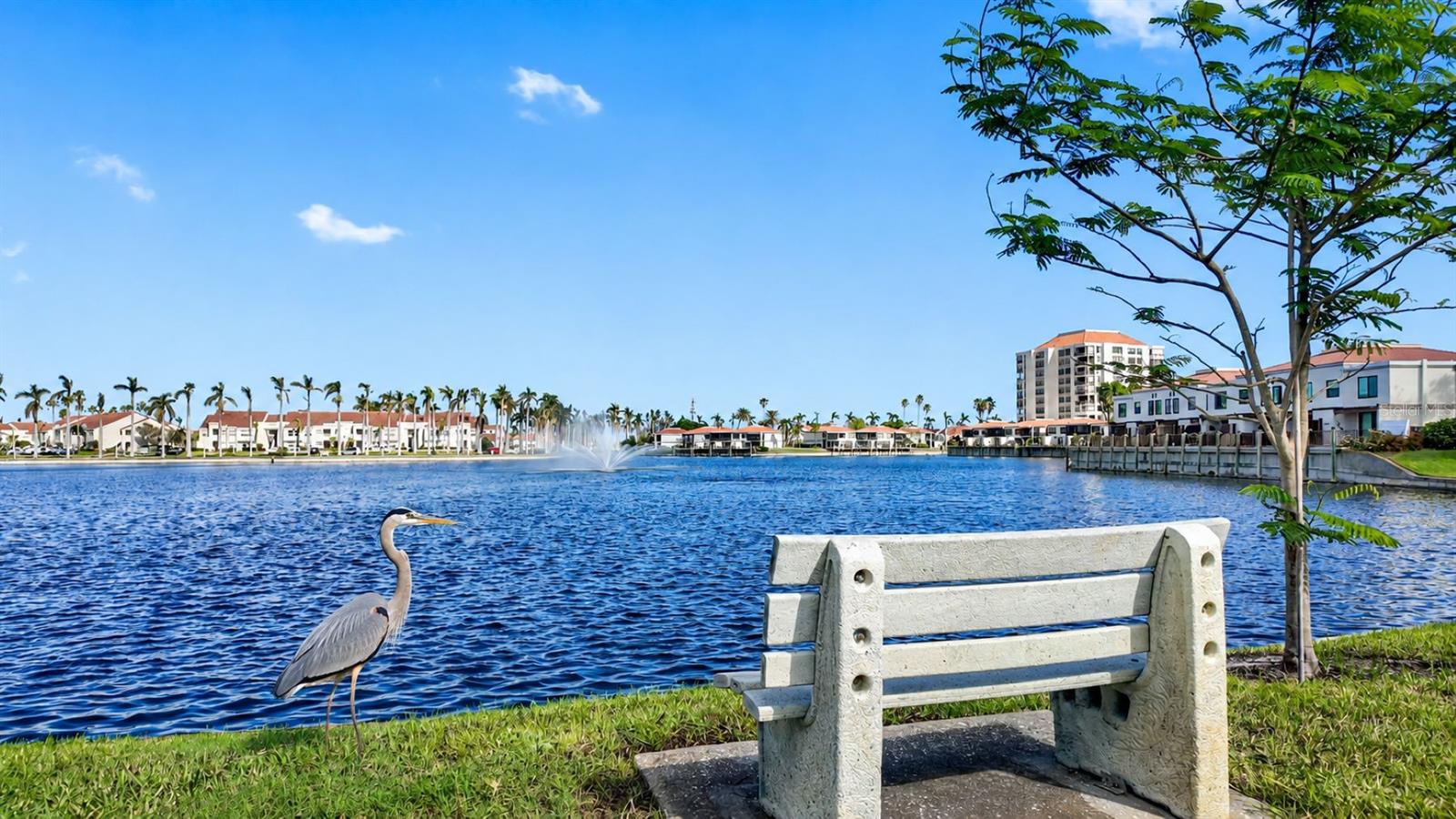 6287 Bahia Del Mar Cir #401 Property Photo 46