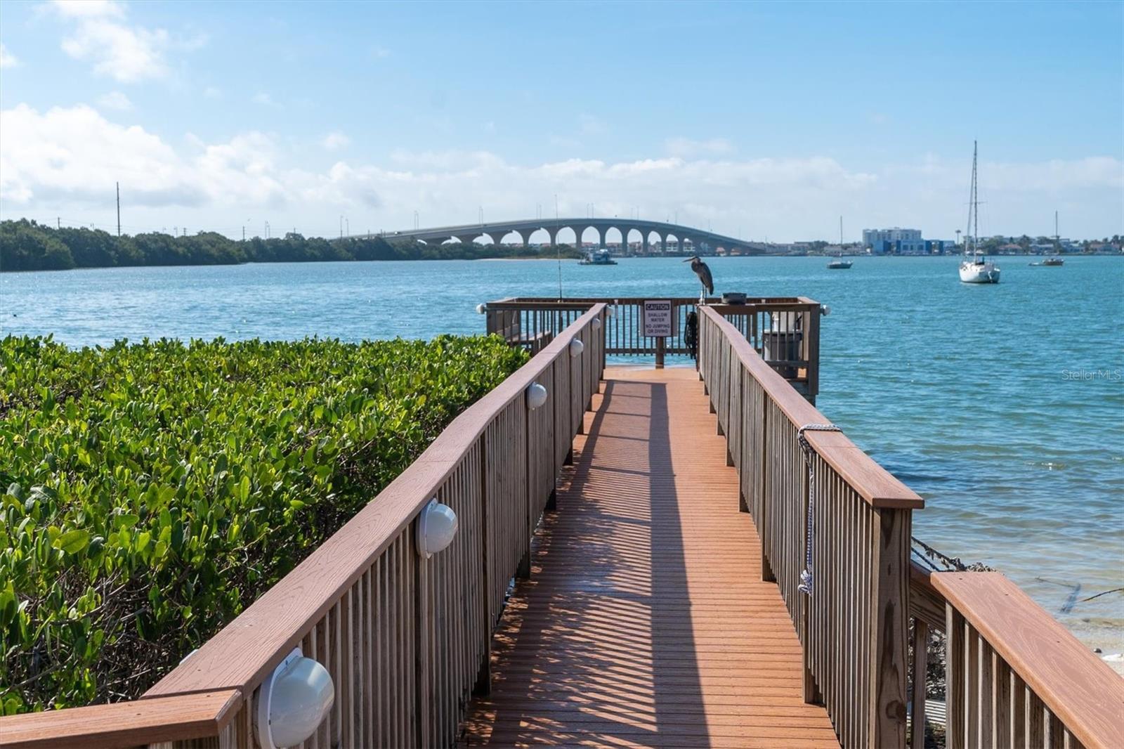 6287 Bahia Del Mar Cir #401 Property Photo 48
