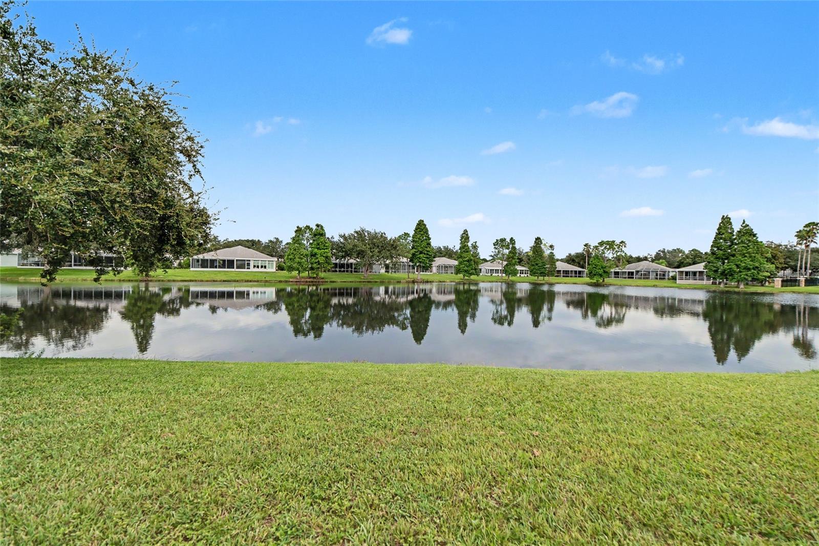 15110 Heronglen Dr Property Photo 28