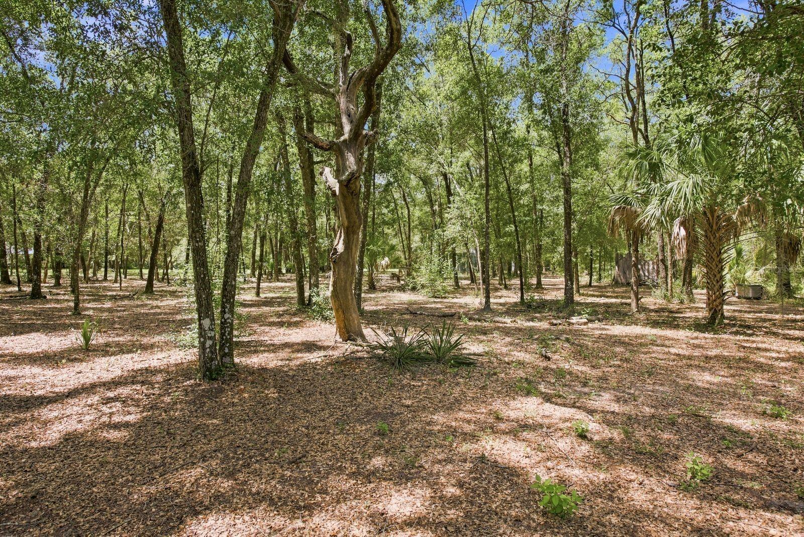 3624 S Susan Pt Property Photo 43