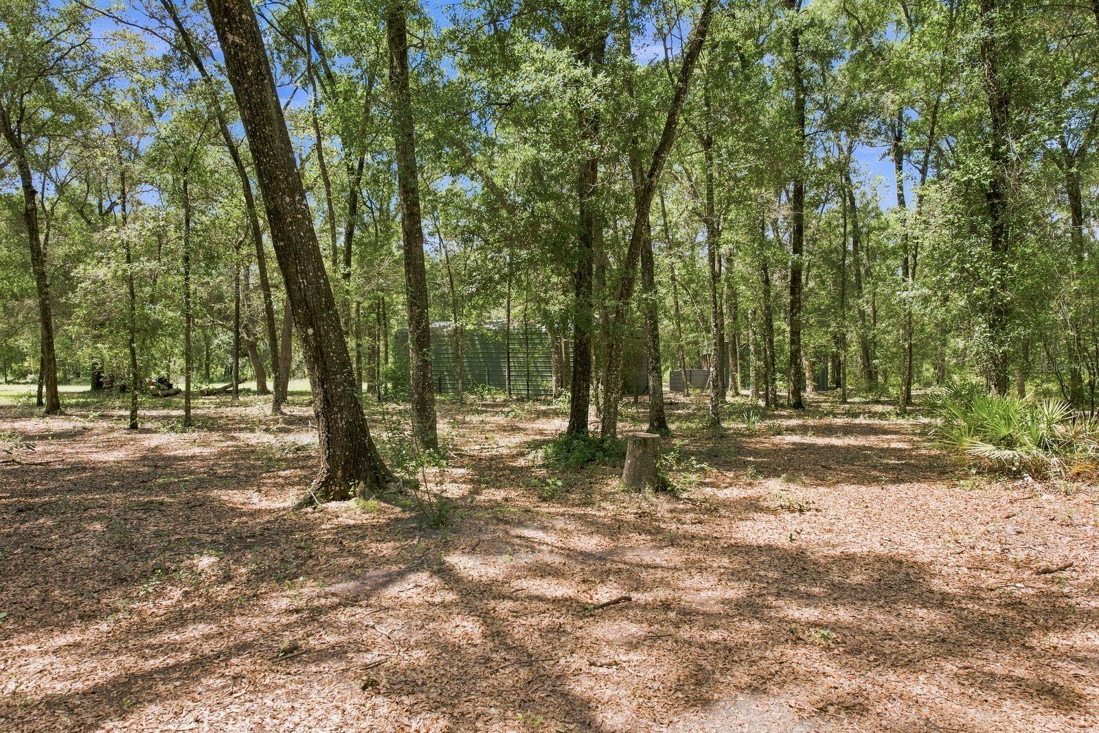 3624 S Susan Pt Property Photo 44