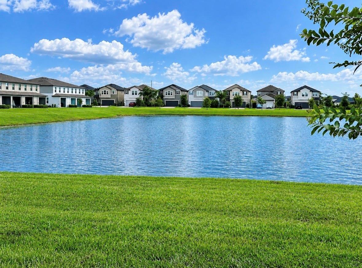 8212 Crescent Oaks Dr Property Photo 37