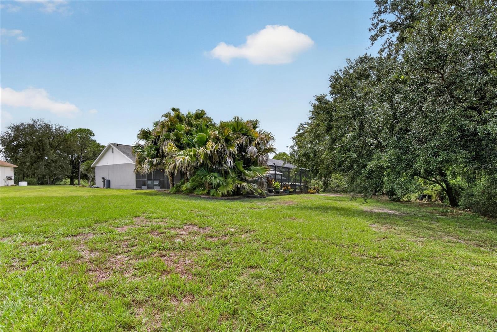 12935 Raysbrook Dr Property Photo 38