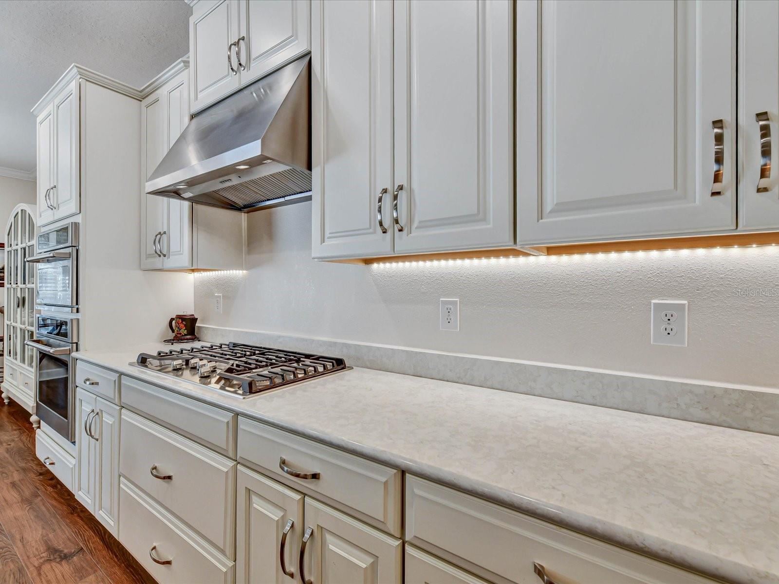 29735 Cassino Ct Property Photo 11