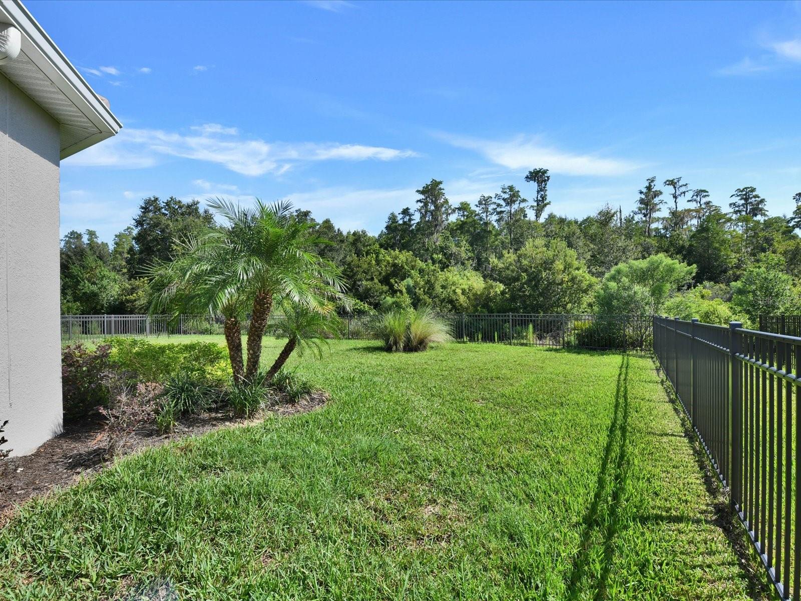 29735 Cassino Ct Property Photo 55