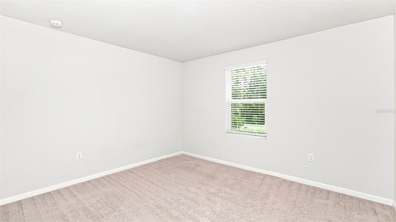 13 Zebulon Pl Property Photo 8