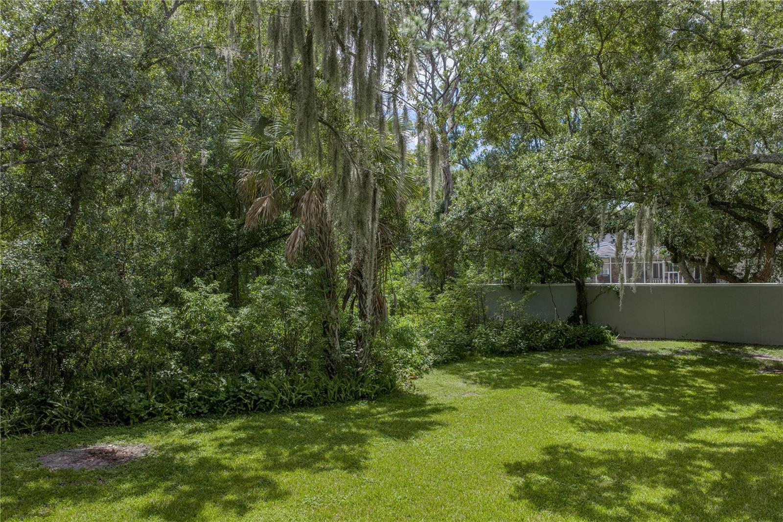 2405 Earlswood Ct Property Photo 42
