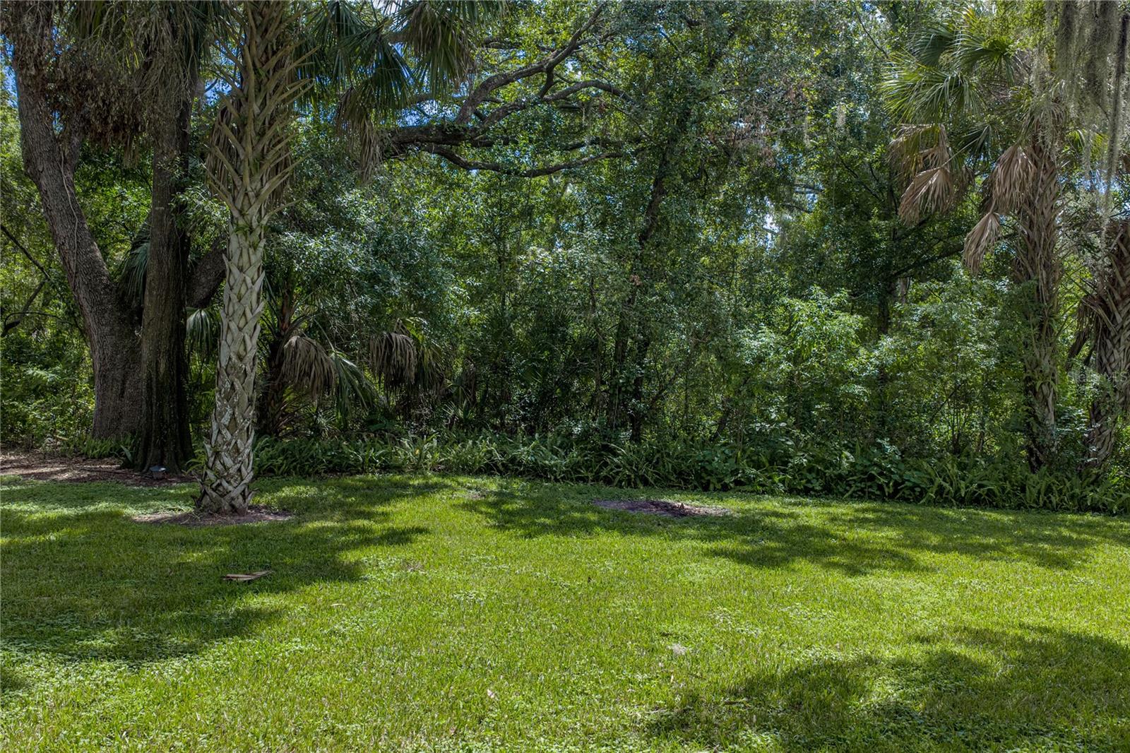 2405 Earlswood Ct Property Photo 49