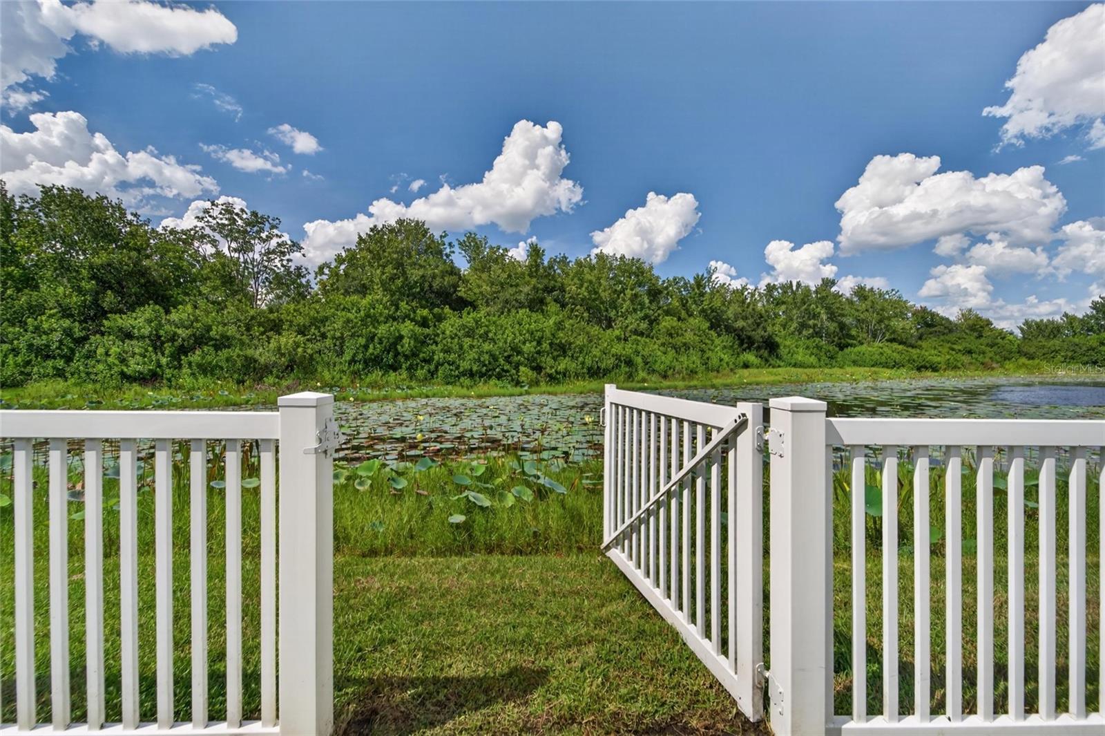 11313 Village Brook Dr Property Photo 33